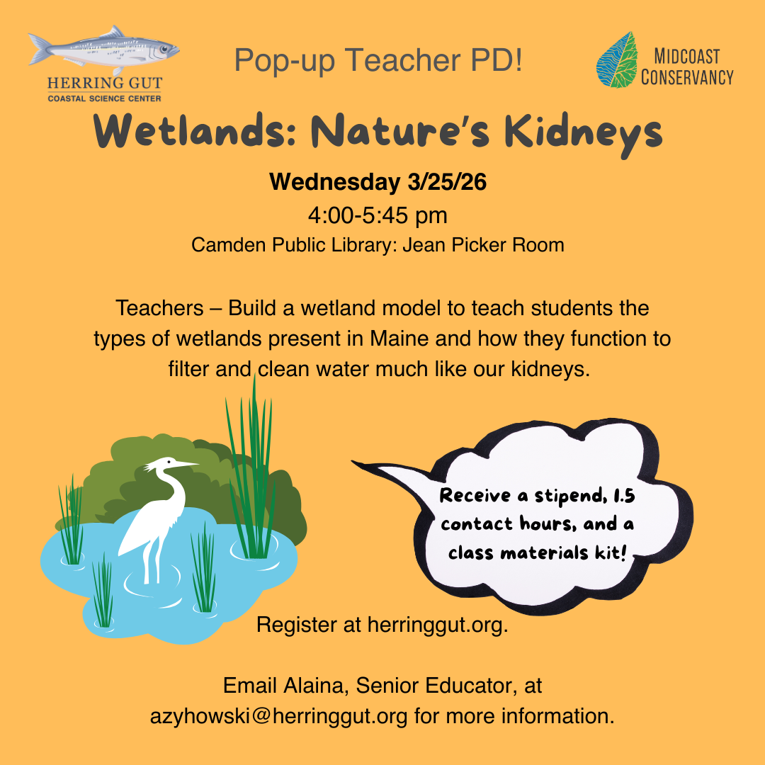 Wetlands: Nature’s Kidneys Professional Development