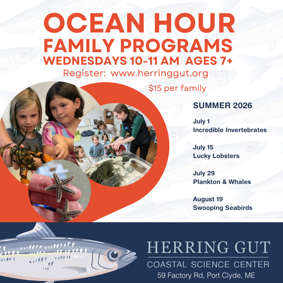 Ocean Hour Summer 2026 