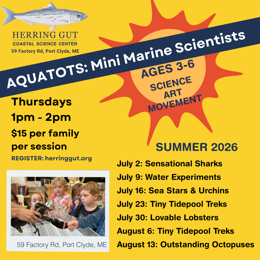 Aquatots Summer 2026