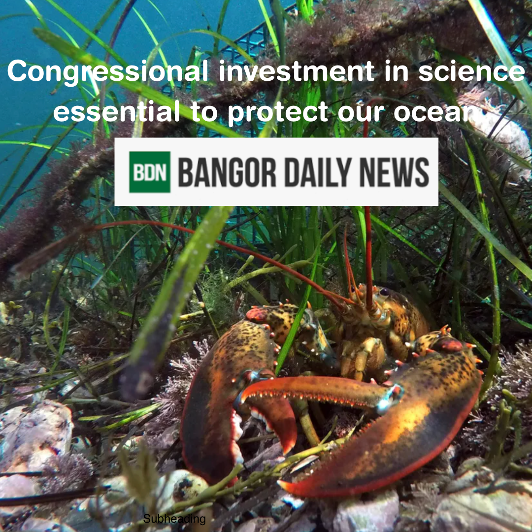 Maine Ocean Voices Engage (MOVE)