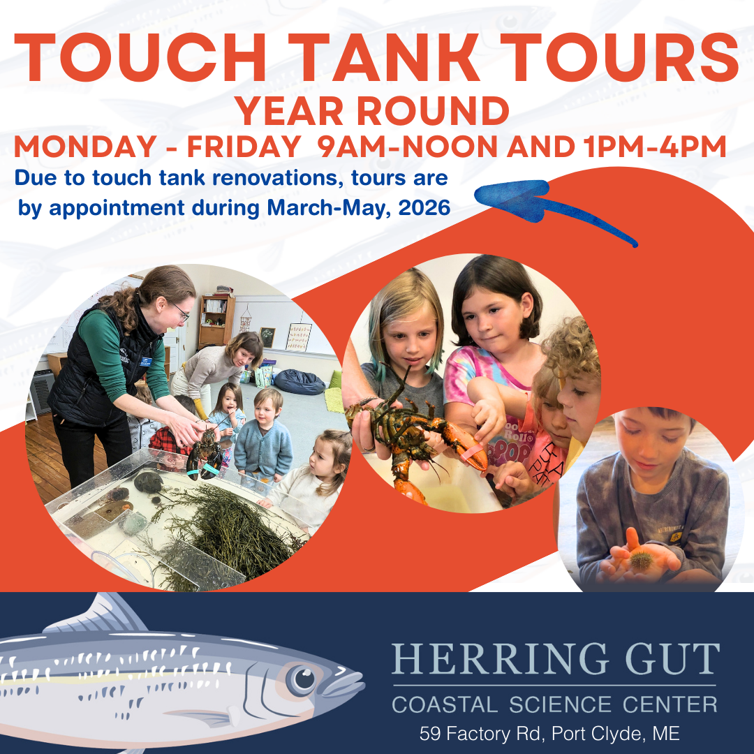 Touch Tank Tours