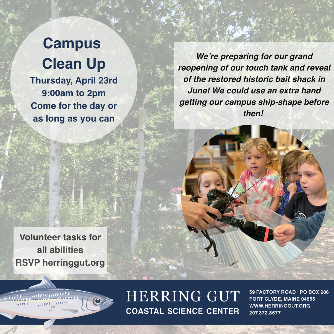 Campus Cleanup Day