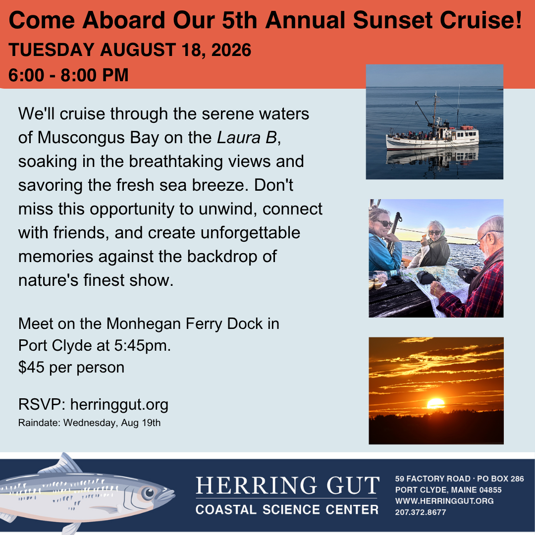Sunset Cruise