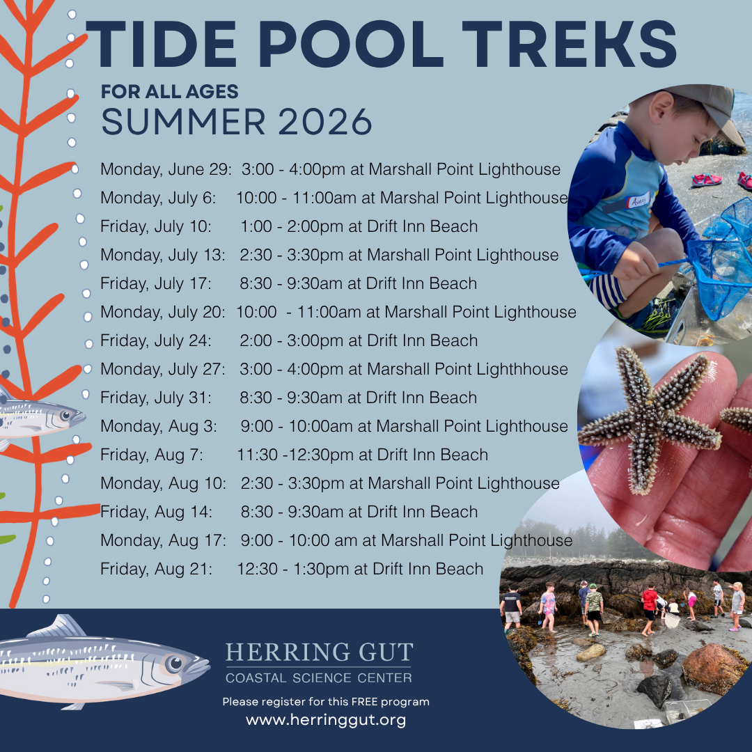 Tidepool Treks