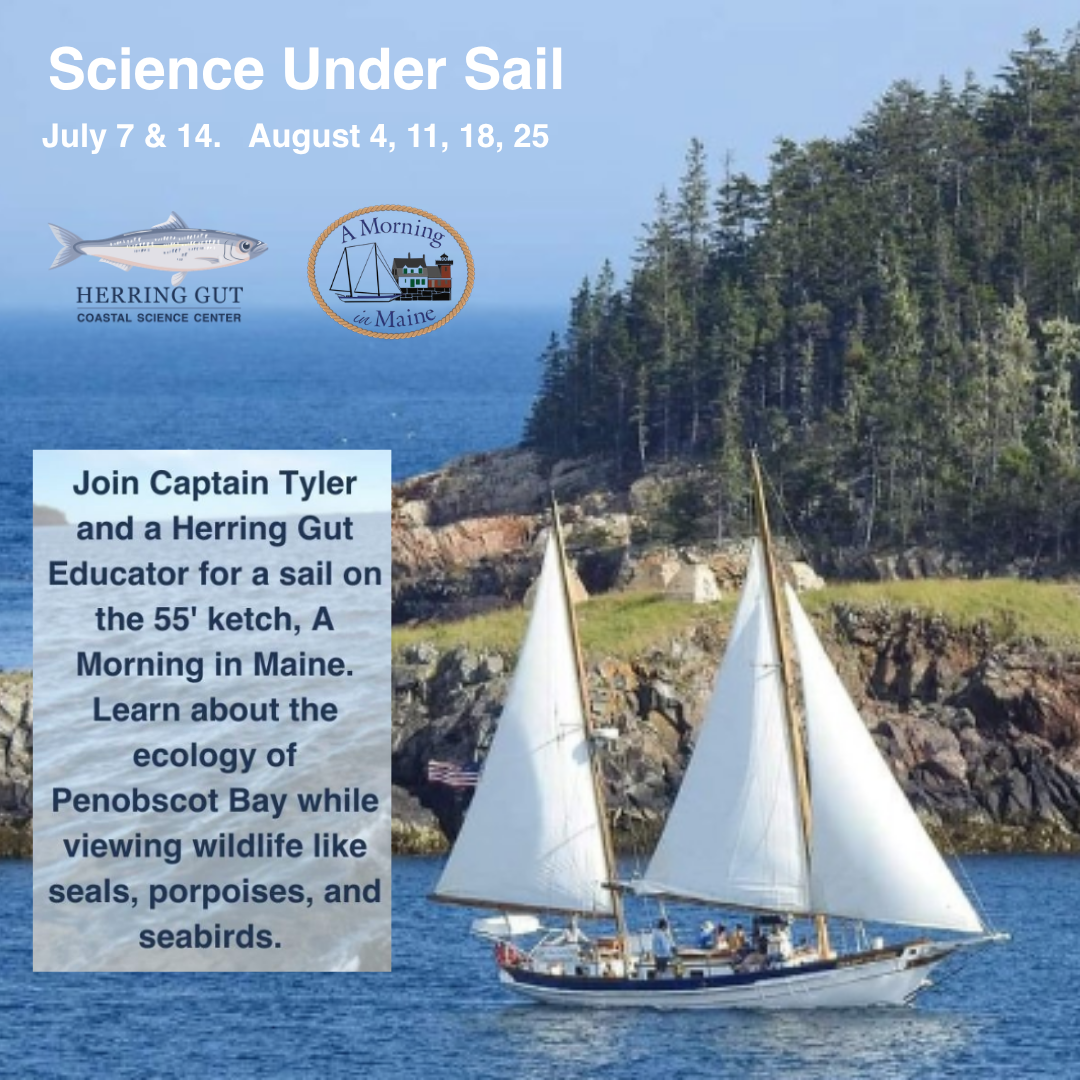 Science Under Sail