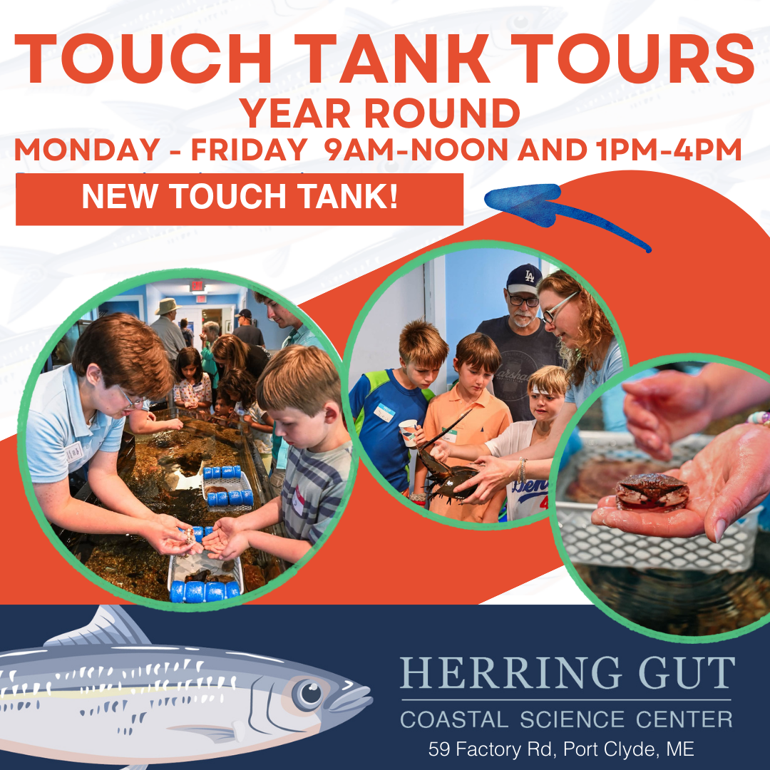 Touch Tank Tours