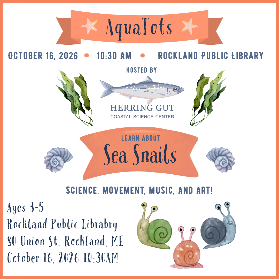 Aquatots: Sea Snails