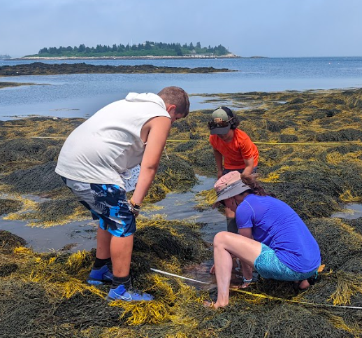 Screen Shot 2022-11-16 at 2.28.09 PM.png