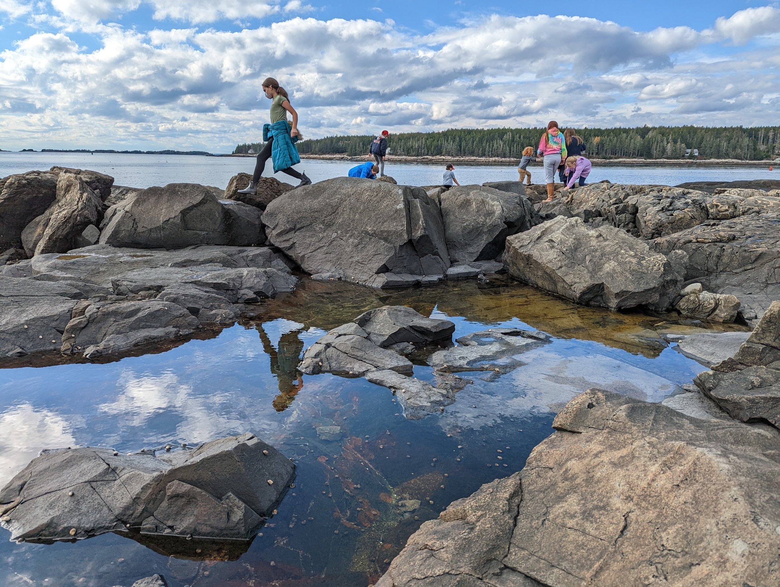 Coming Soon… Cabin Fever Series 2024 — Herring Gut Coastal Science Center