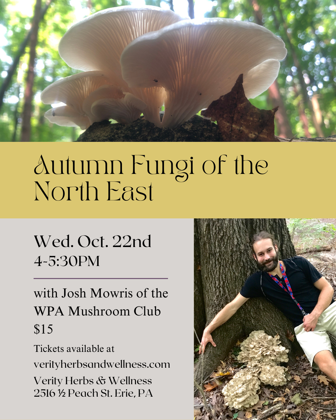 mushroom class fall.png