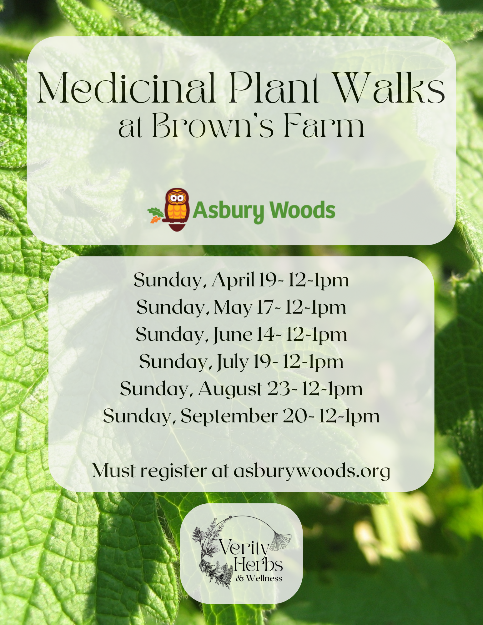 Medicinal Plant Walks at Brown's Farm