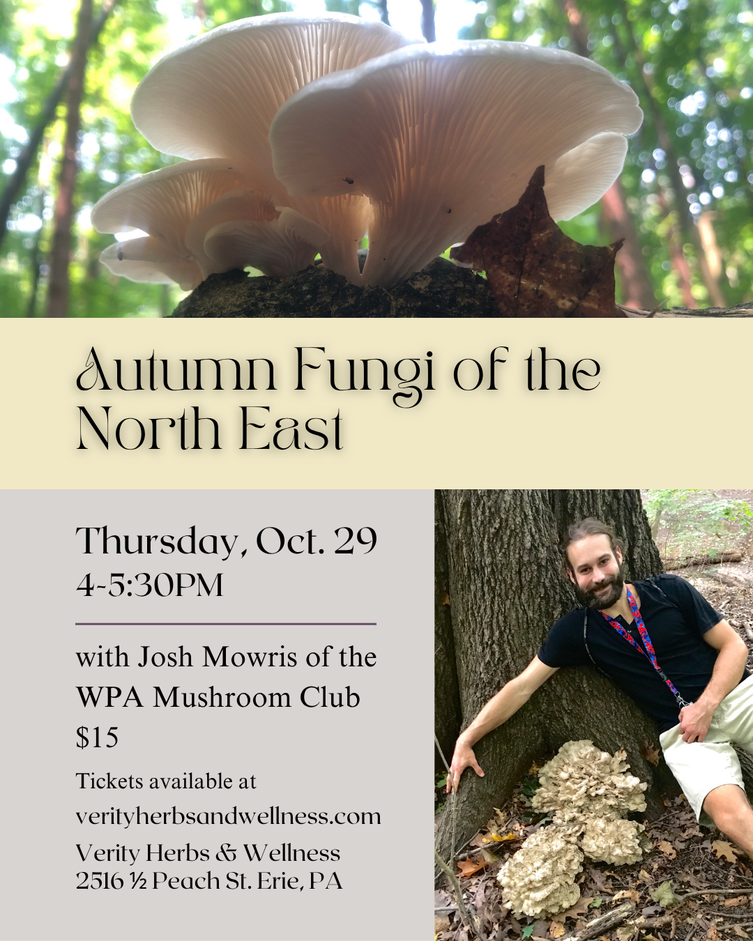 mushroom class fall.png