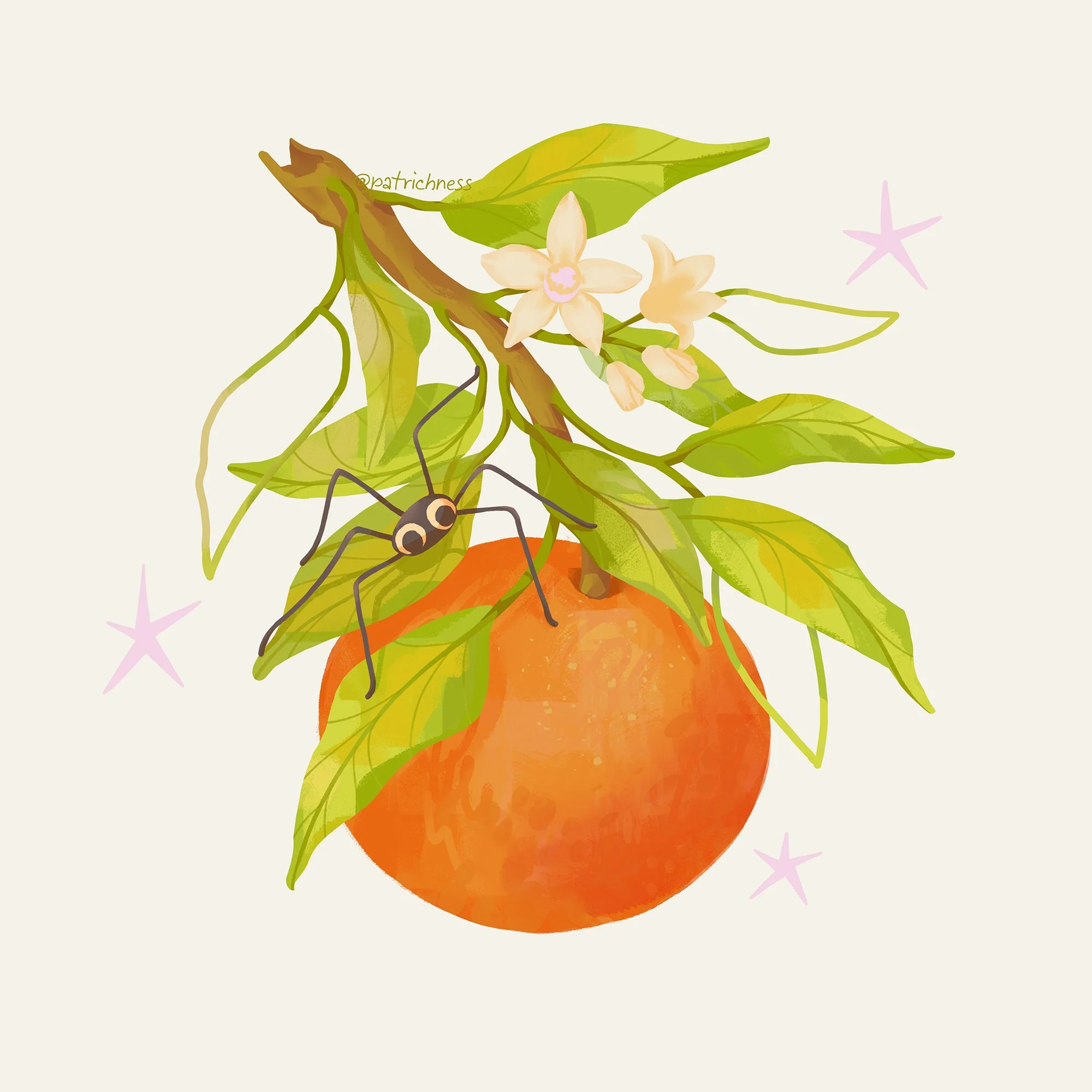 orange.jpg