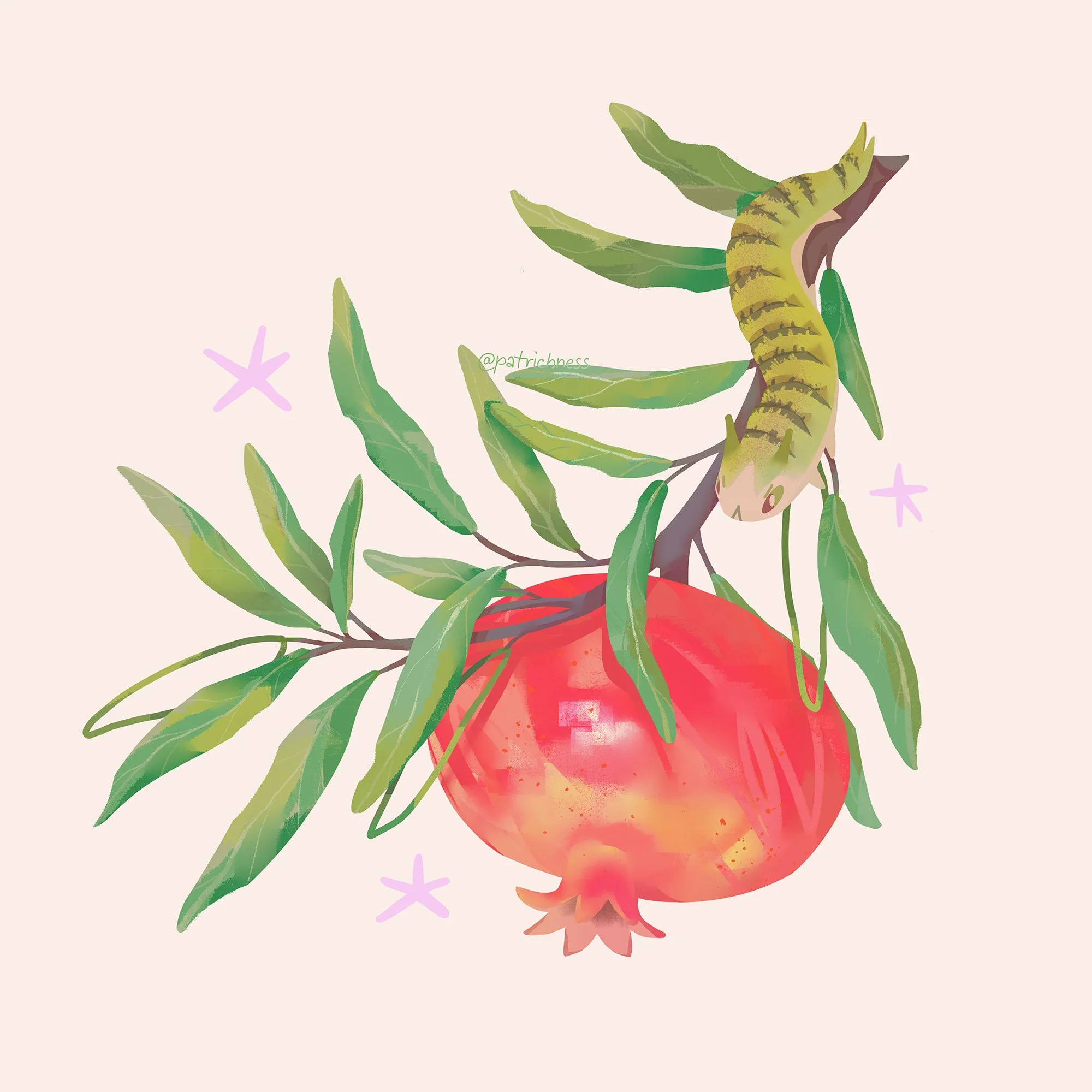 pomegranate.jpg