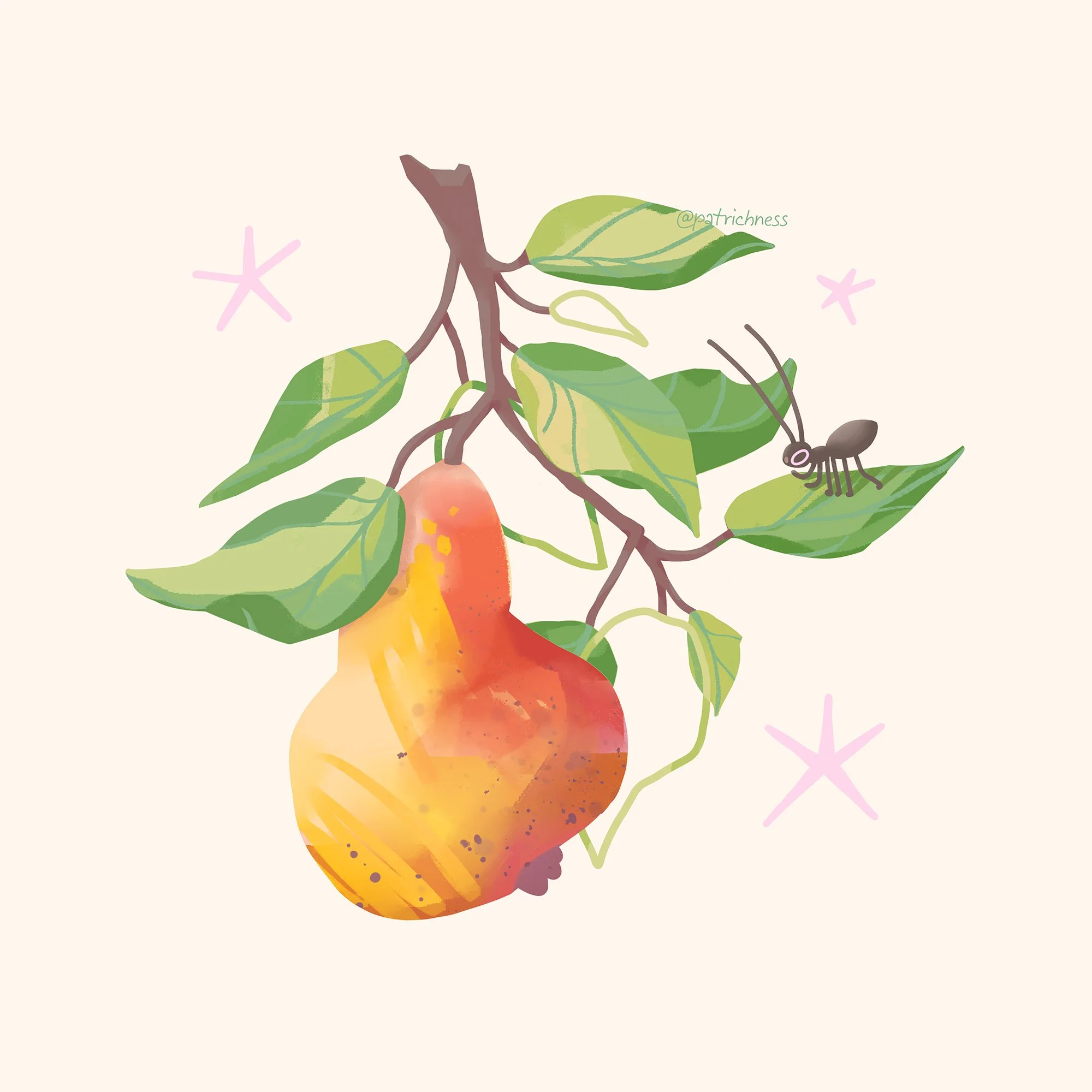 pear.jpg