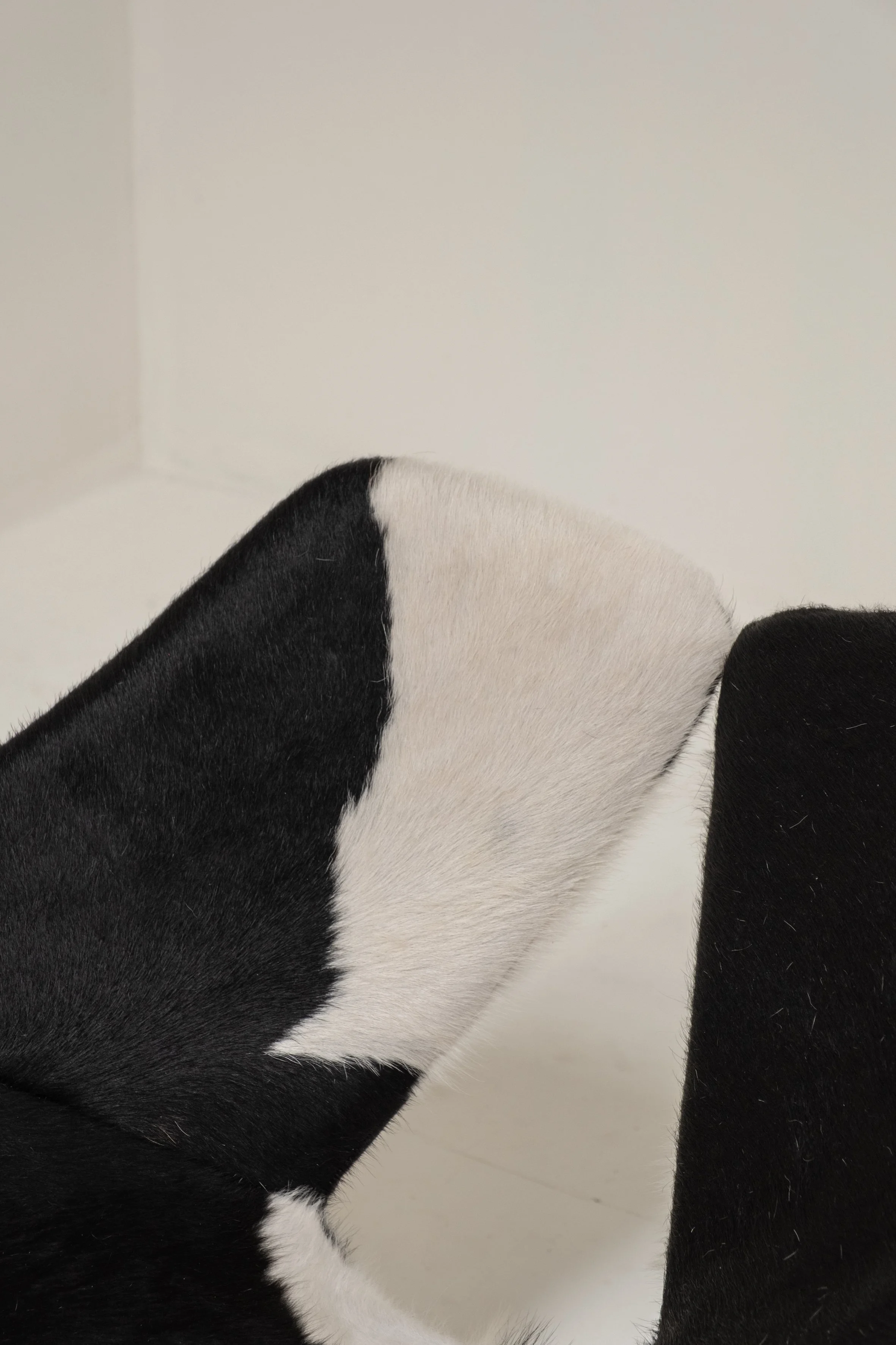 DSCF8161.jpg