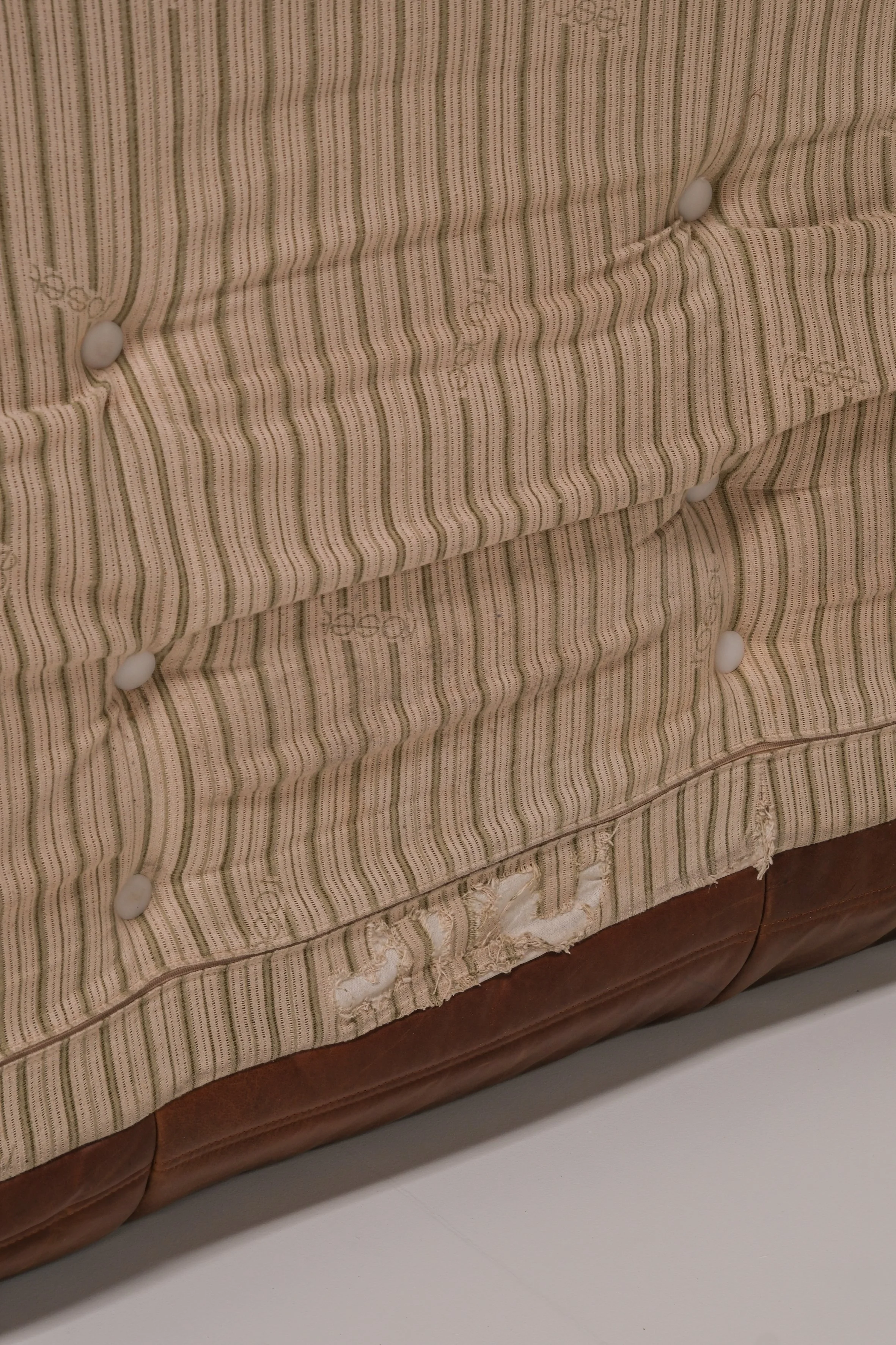 DSCF5955.jpg