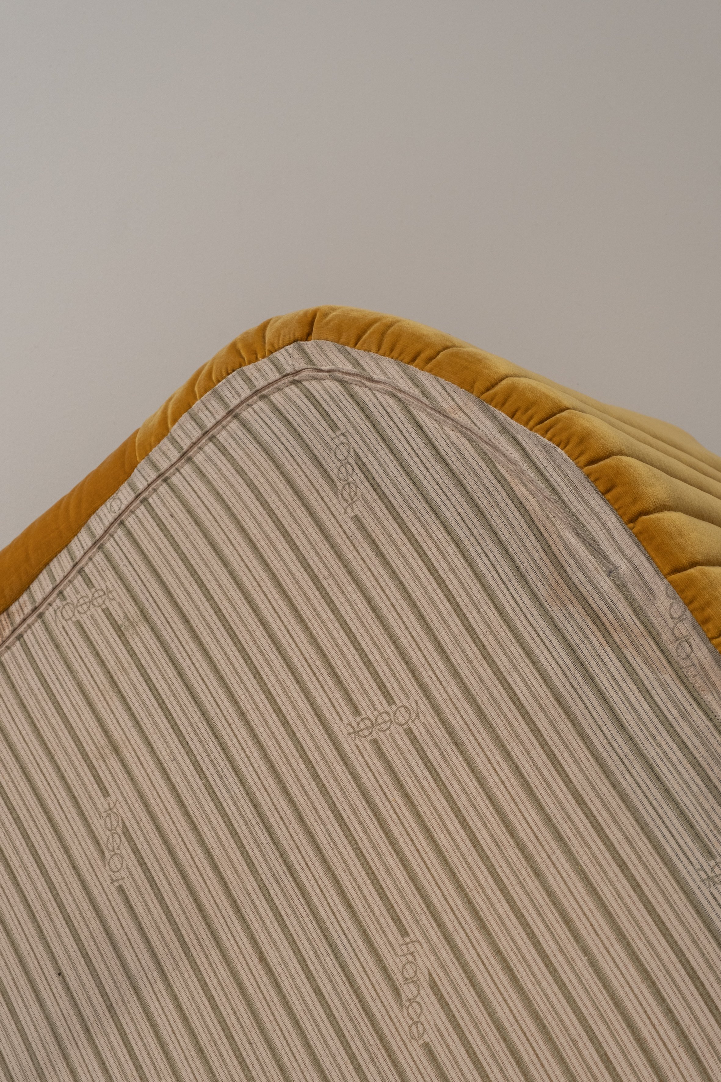 DSCF8003.jpg