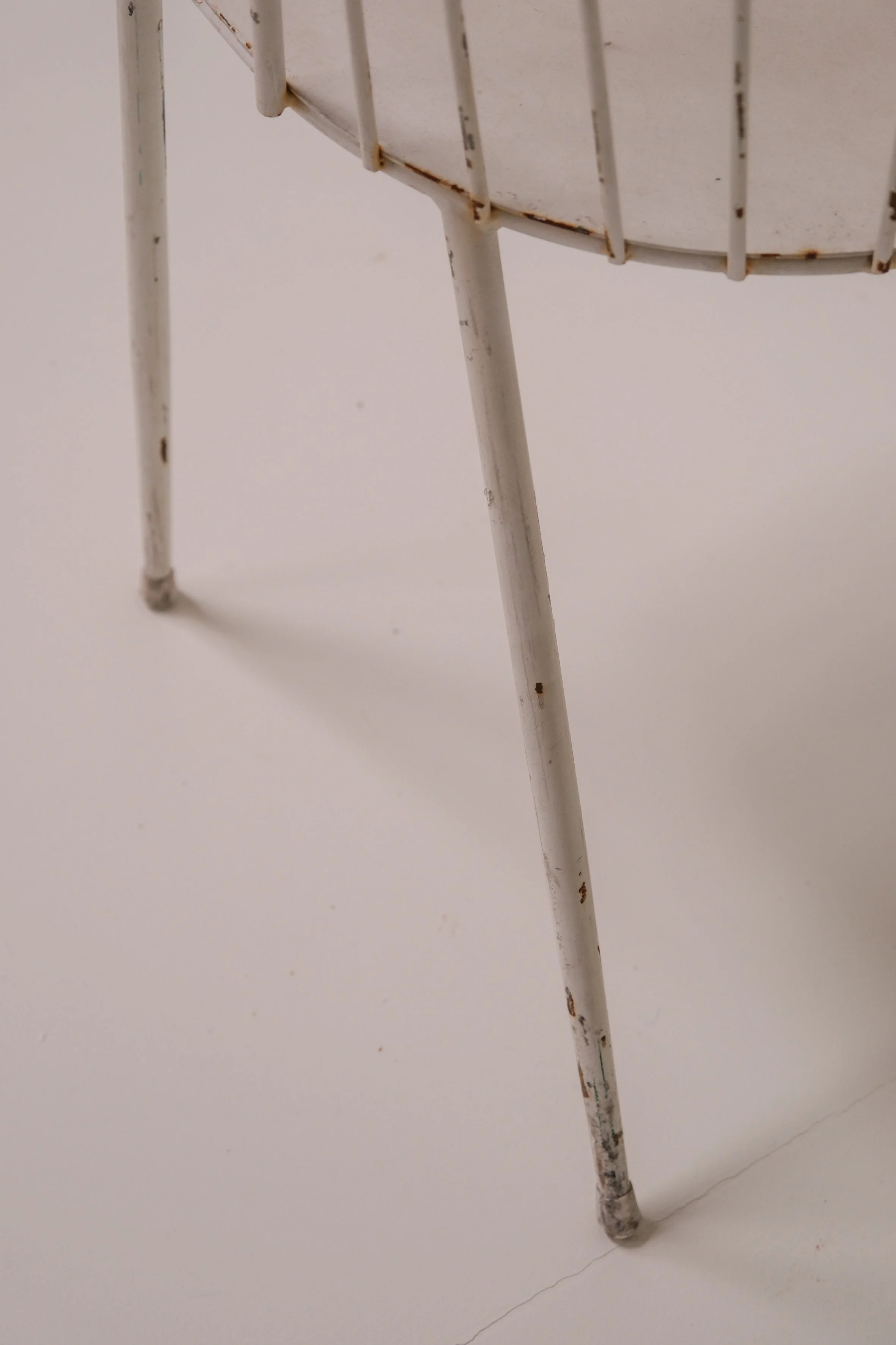 DSCF6175.jpg