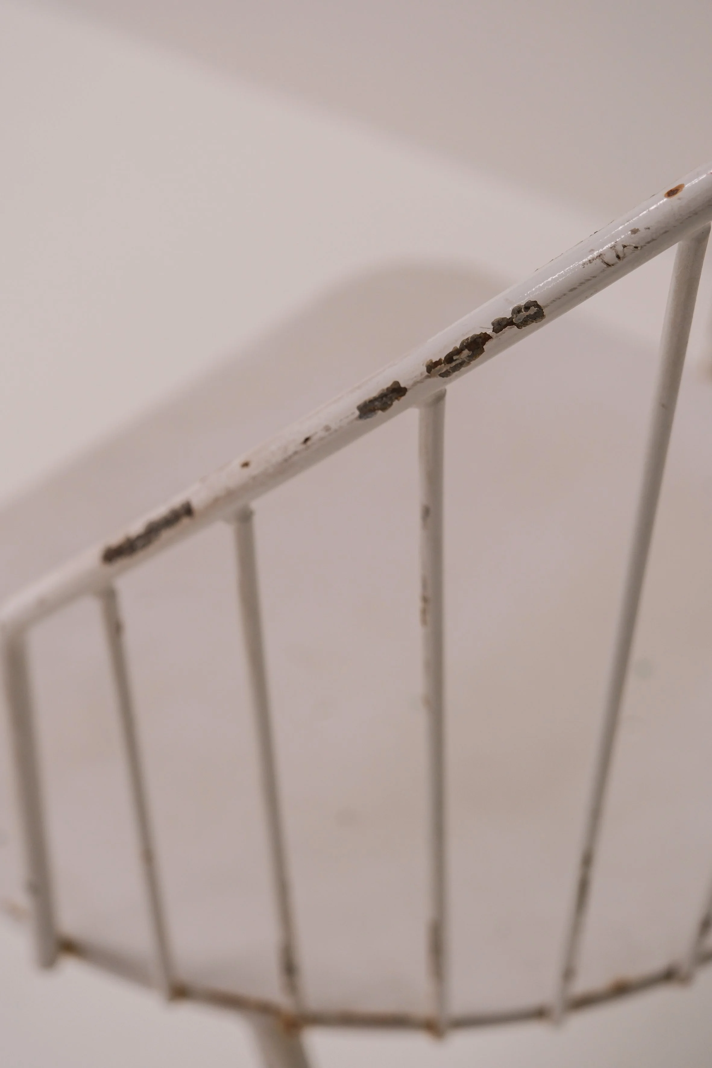 DSCF6173.jpg