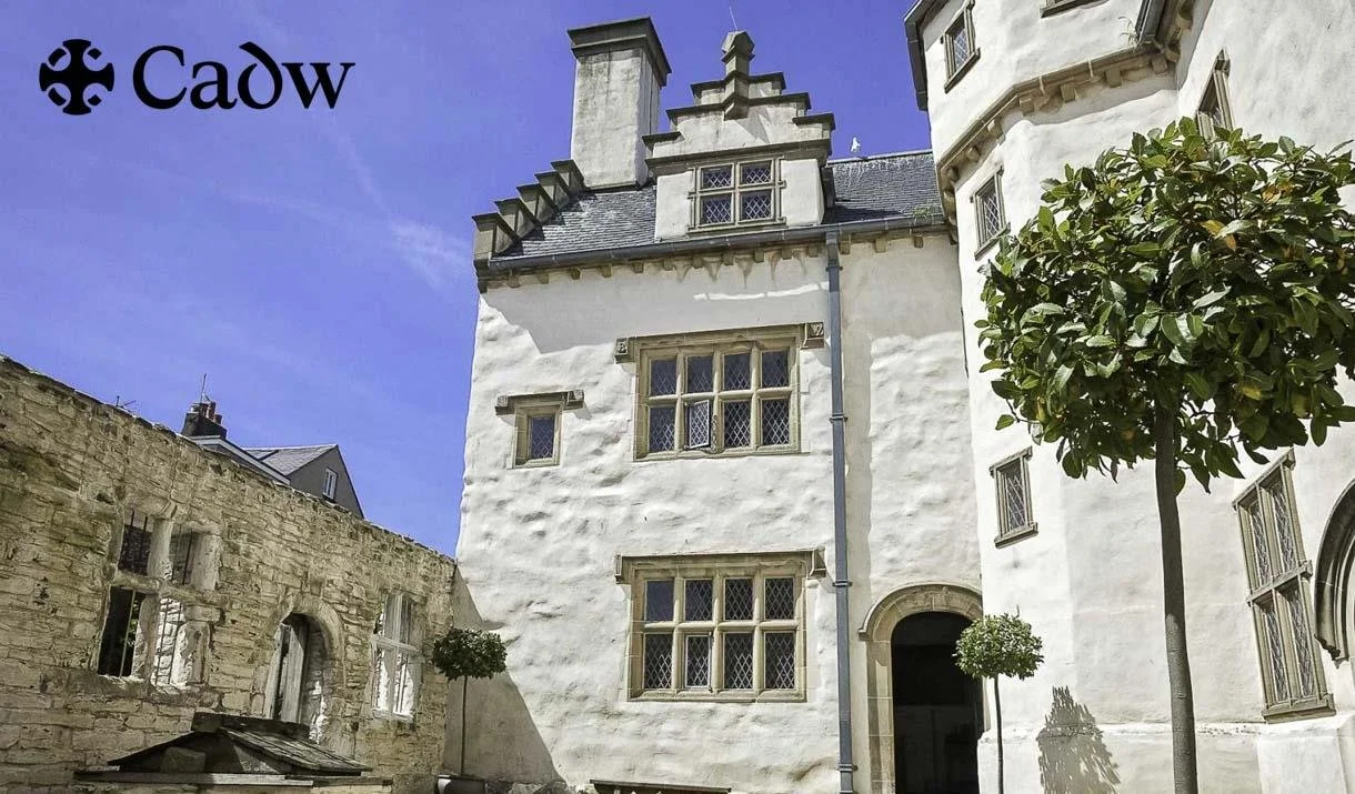 Plas Mawr.jpeg