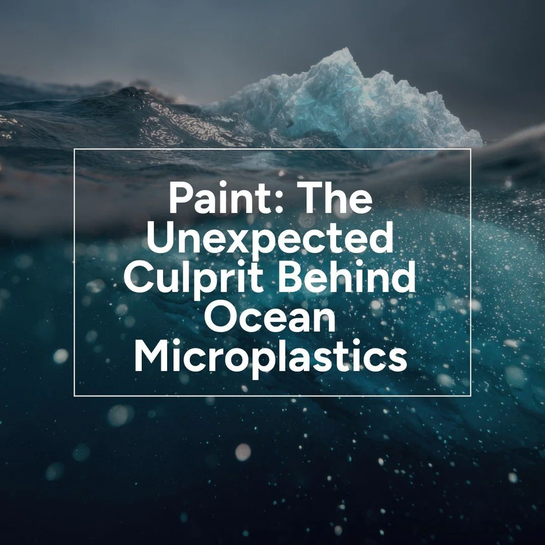 Paint: The Unexpected Culprit Behind Ocean Microplastics
Everyone knows plastic bottles and straws pollute our oceans - but here’s a to many people surprising fact: paint is the largest source of microplastics in the ocean, according to a stud