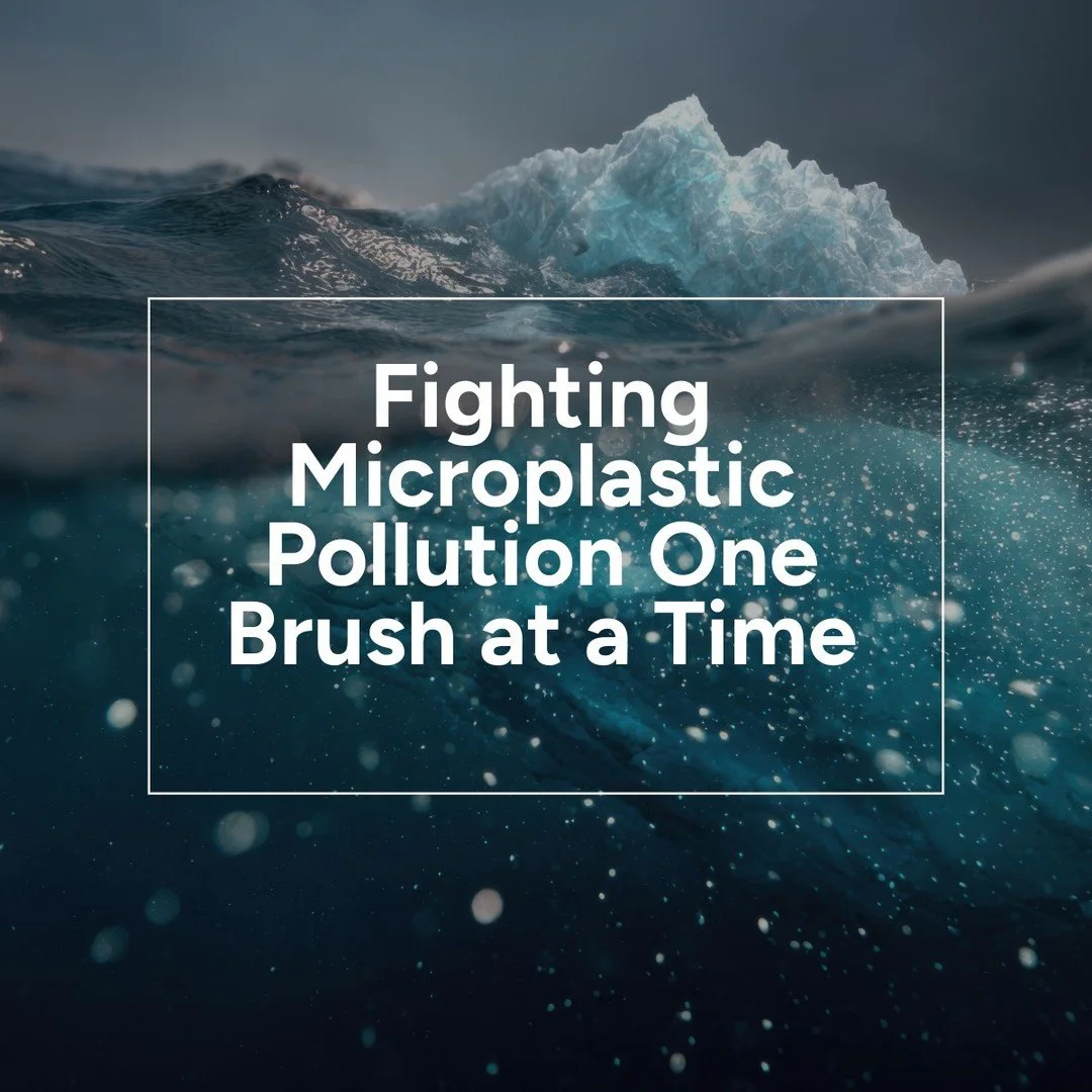 Lavabrush: Fighting Microplastic Pollution One Brush at a Time
Plastic pollution is often linked to bottles and bags, but one of the largest sources of microplastics is...paint. Yes, paint. Here’s how Lavabrush is helping stop that at the sour