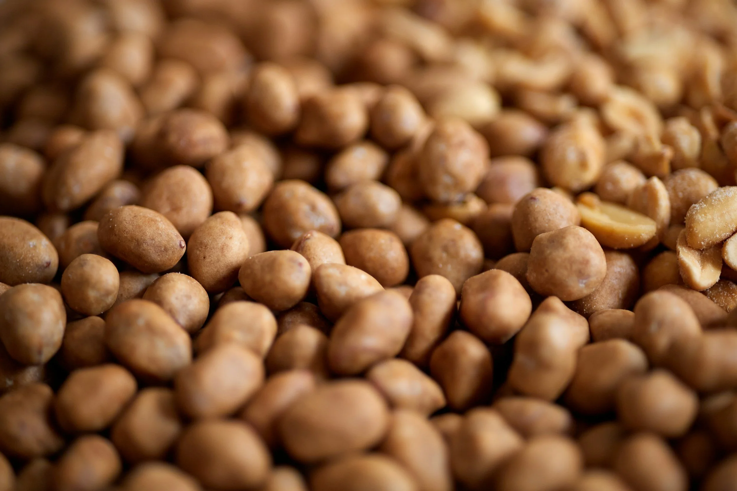 Close-up of raw chickpeas.