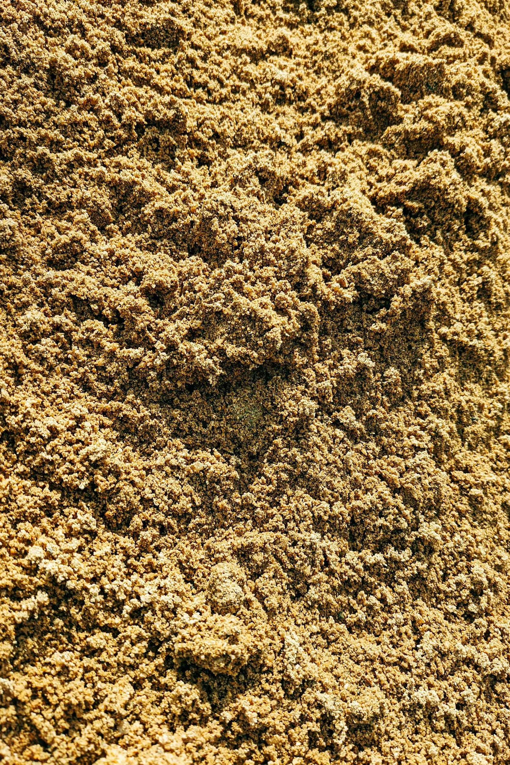 Close-up of a mound of brown, granular material that appears to be sand.