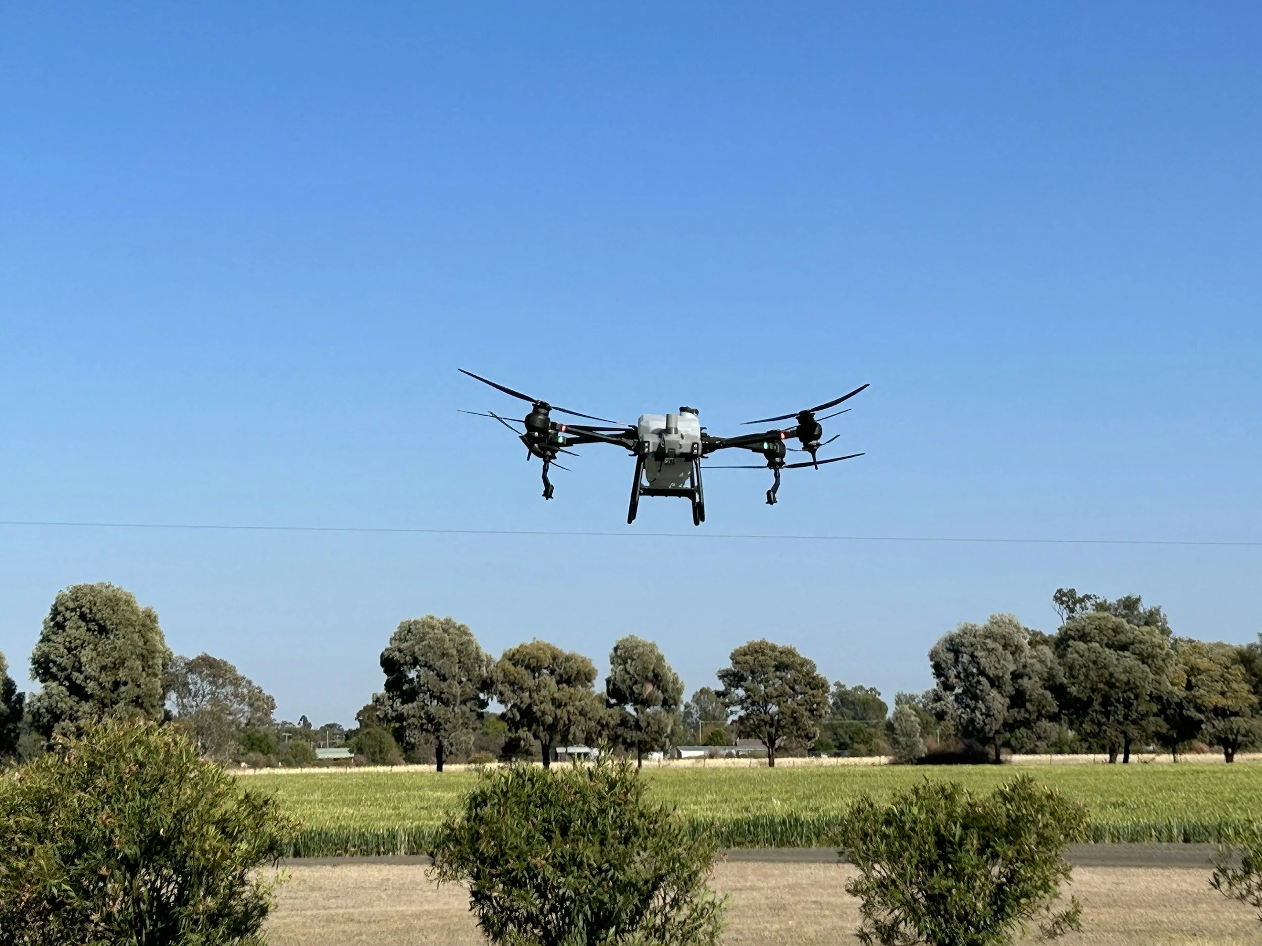 NIR Spectroscopy from Drones: The Reality Behind the Promise