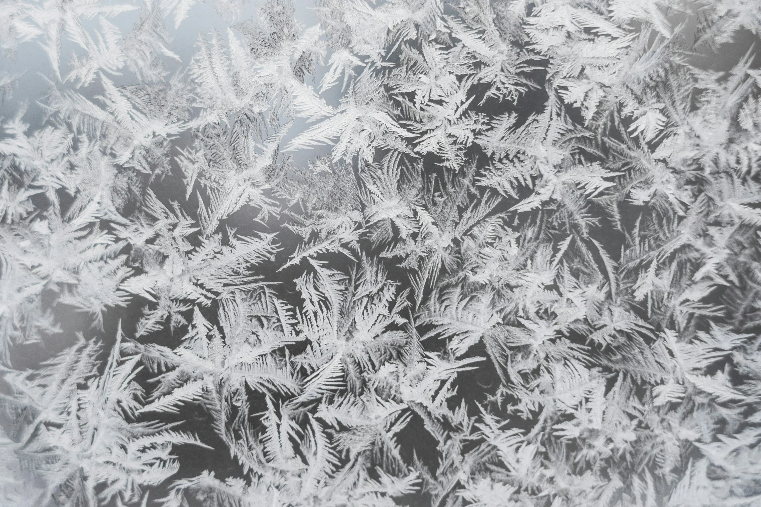 Why You Should Never Freeze Agricultural Samples Analyzed by NIR Spectroscopy