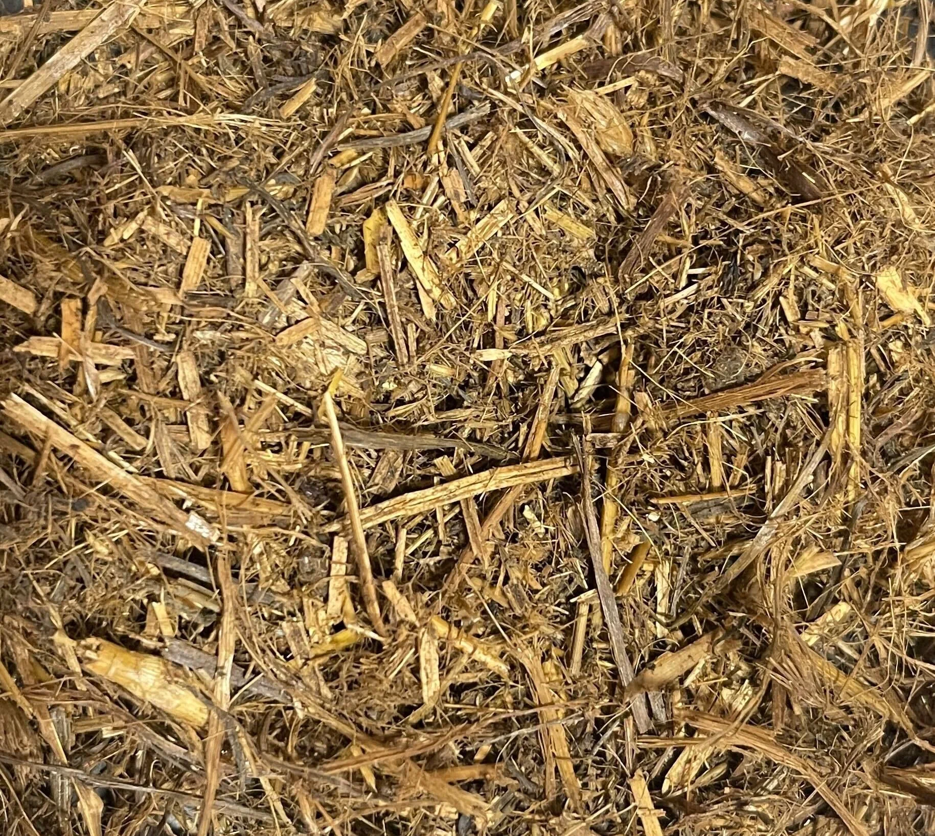 Close-up of a pile of dry, brown straw or hay.