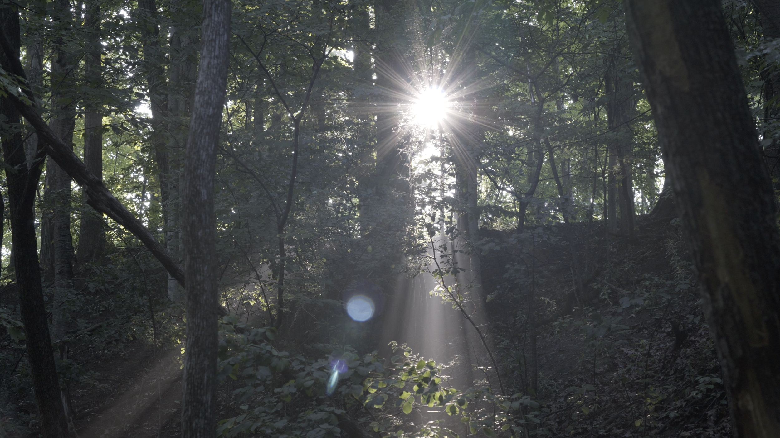 Matthew Trueman Custom Furniture