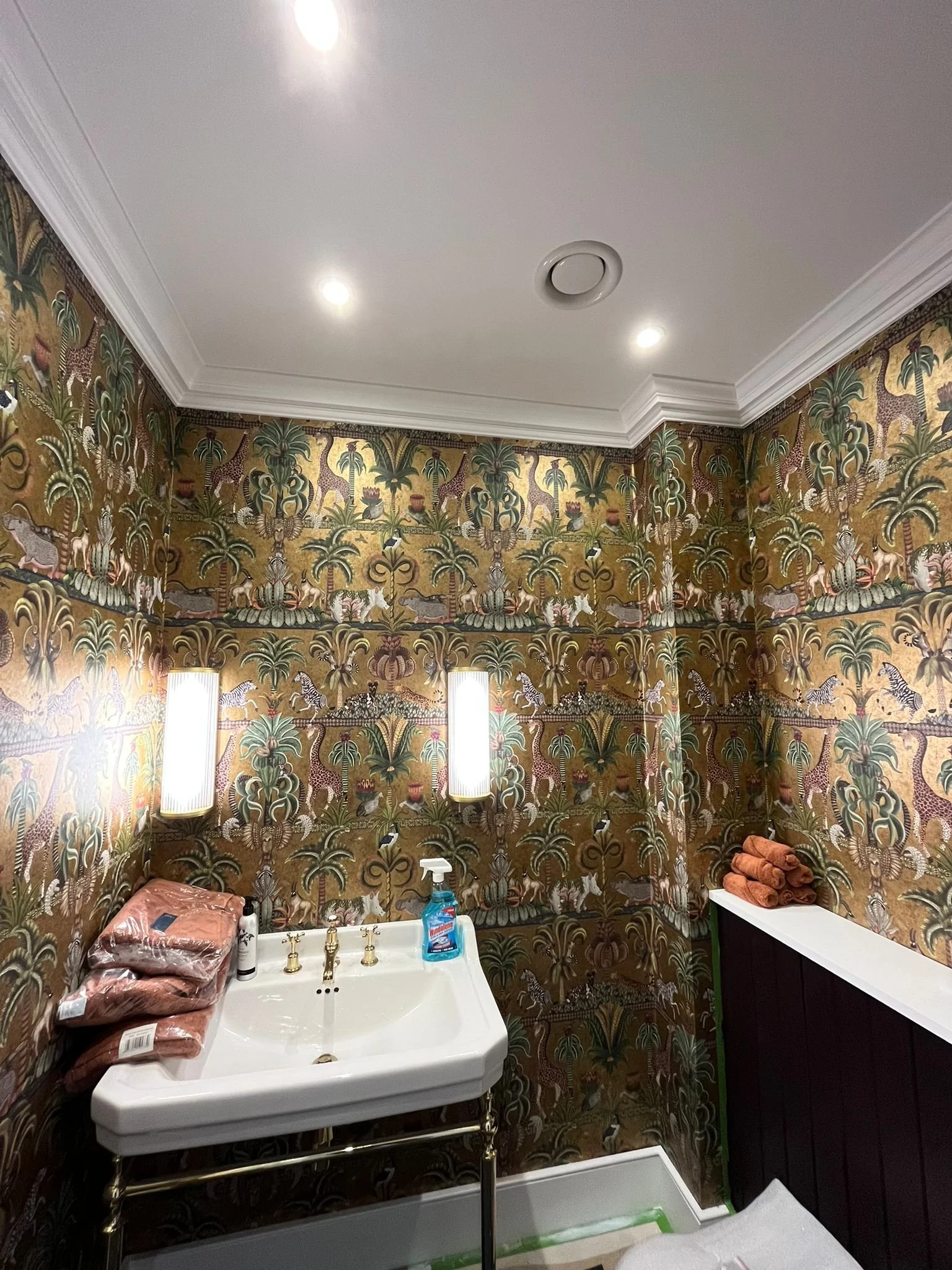 1eb3be76-380e-4fba-bd1b-6a6e1d7afb83 (1).JPG