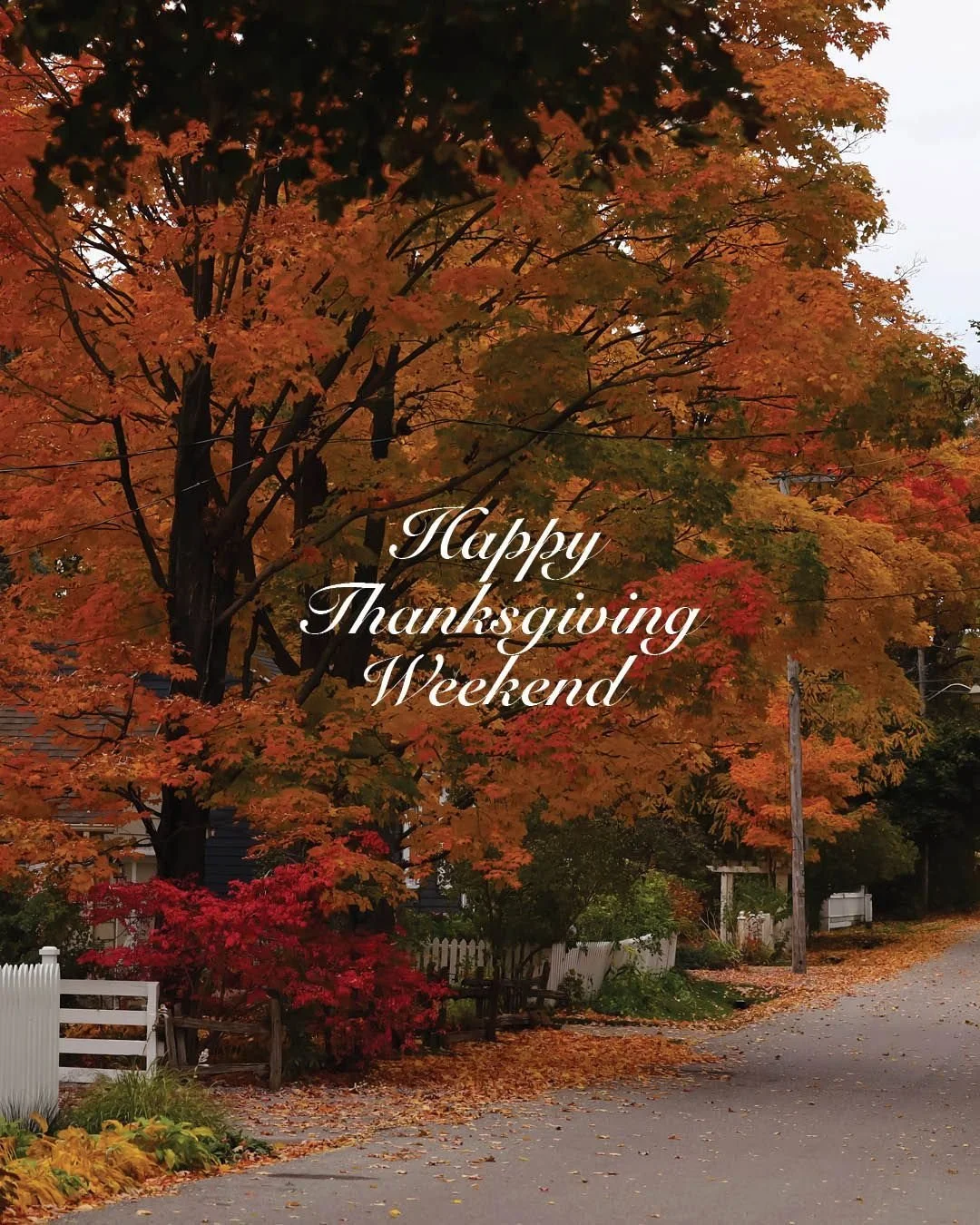 ✨ Happy Thanksgiving weekend from everyone here at Tall Trees! 🥂

We are excited to welcome everyone to the restaurant this evening for our Thanksgiving Four-Course Dinner. Thank you to everyone who made a reservation; we can&rsquo;t wait to serve y