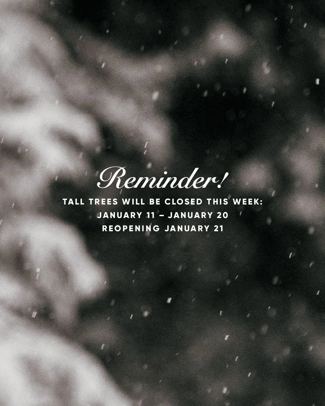 📣REMINDER! 

Tall Trees is CLOSED this week for our annual winter break. We&rsquo;ll reopen next Wednesday, January 21st, so be sure to reserve your table early and join us for a cozy, comforting winter meal when we return!

Reserve your table onlin
