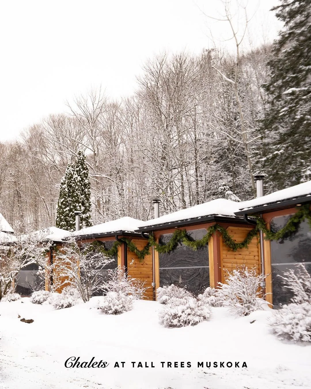 When the bitter cold settles deep in your bones, visit Tall Trees and warm your soul by the fire inside a cozy chalet. Appreciate the quiet beauty of the season while you enjoy a hearty, comforting meal featuring all the best flavours of winter.

Res