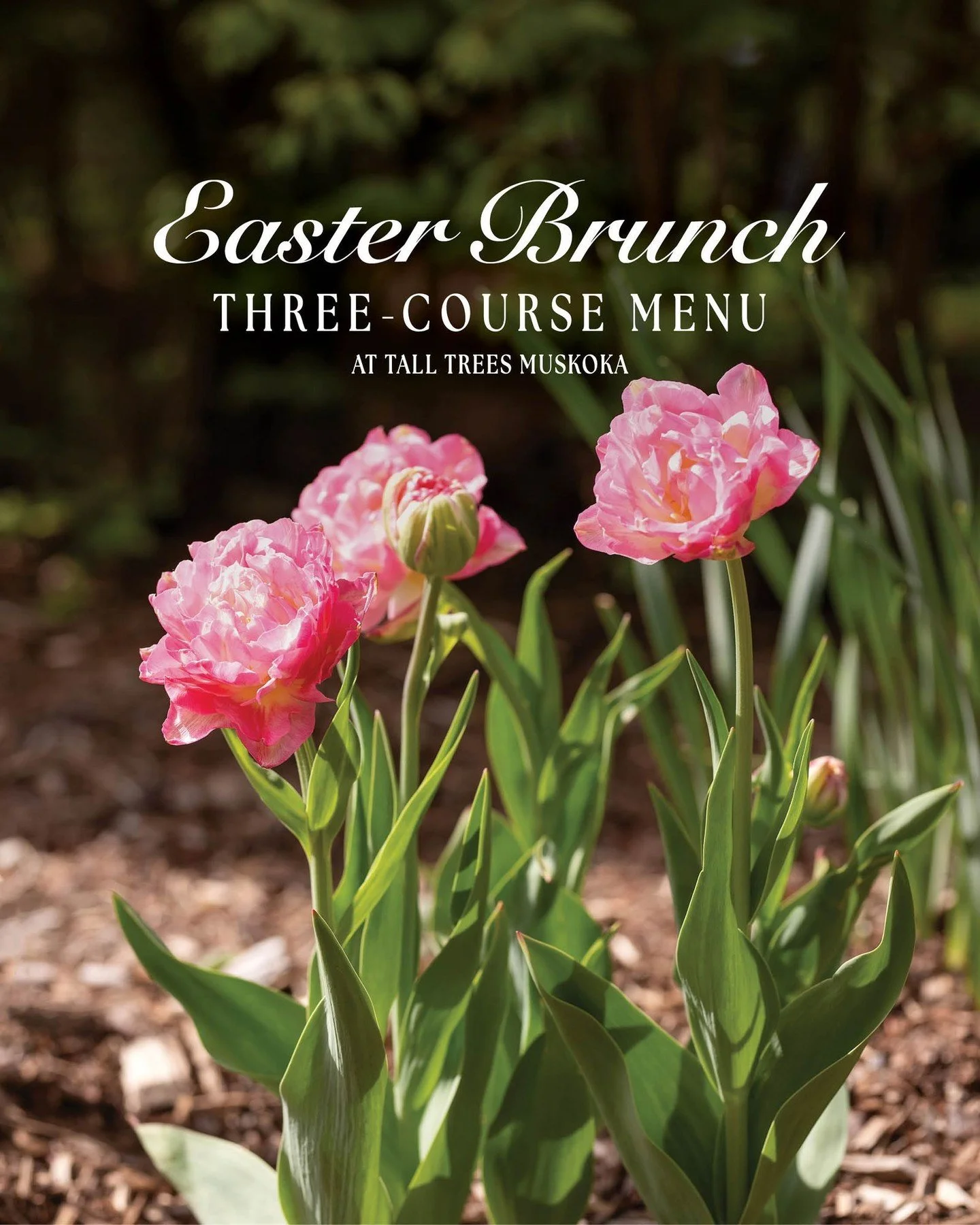 The Easter Bunny came early to deliver the Tall Trees Three-Course Brunch Menu! We&rsquo;re thrilled to share this festive tradition with you once again. 🐰🌷

Join us on Sunday, April 5th, for warm pull-apart sticky buns with bourbon apple compote a