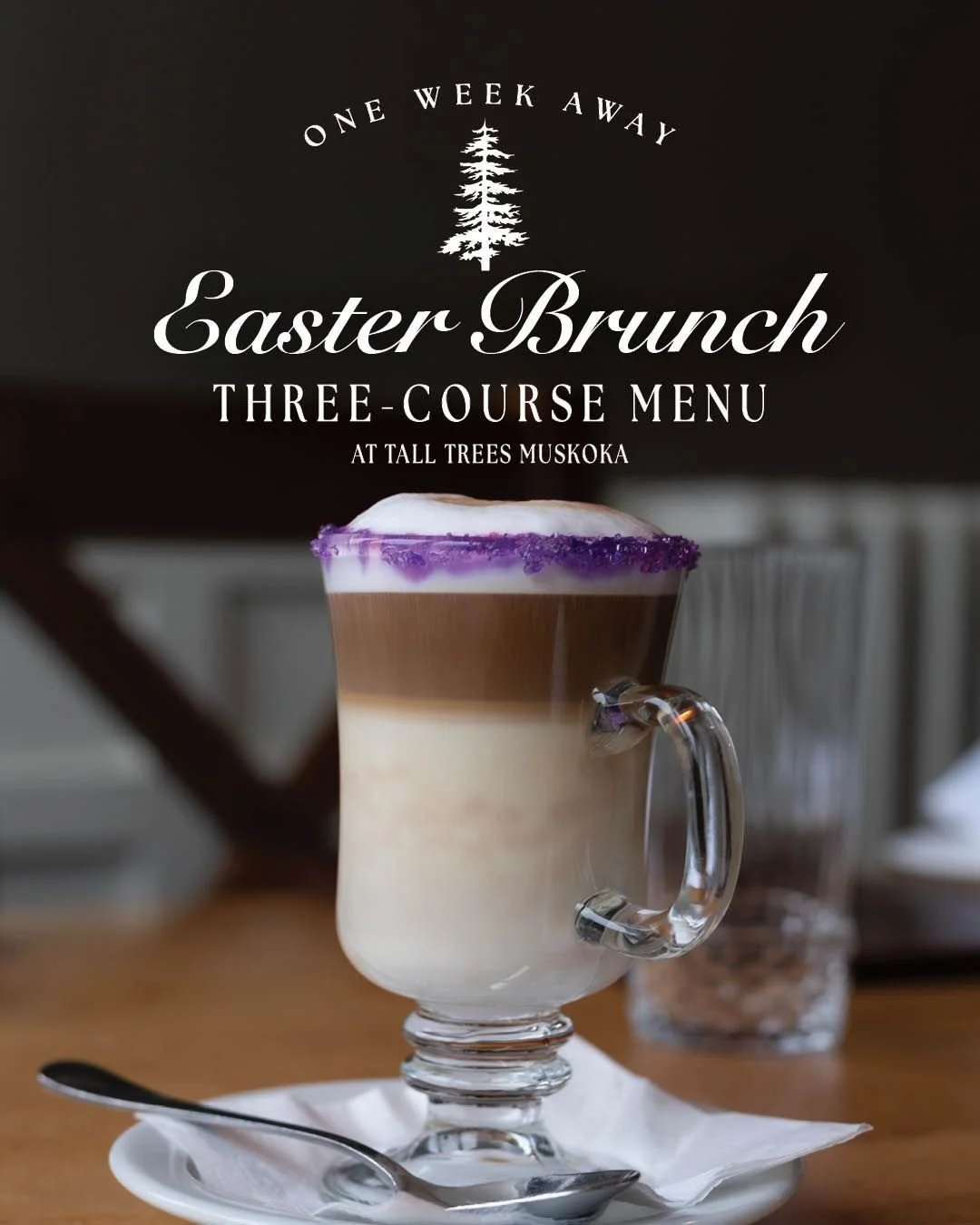 We tried to get photos of the donuts, but they were so delicious that the staff ate them all! 🤷

The Easter Brunch is only ONE WEEK AWAY! Book your reservation on Sunday, April 5th, for any seating from 9 am to 2 pm to enjoy an indulgent three-cours