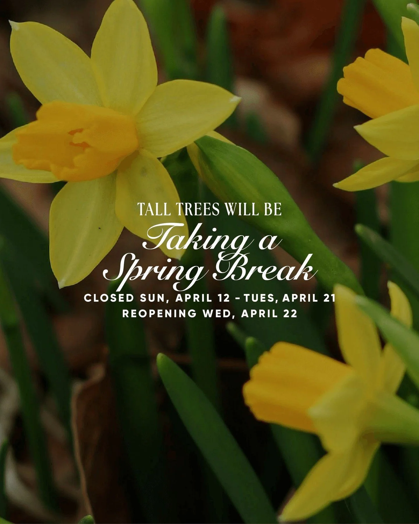 📣 ATTENTION ✨

Tall Trees will be CLOSED from Sunday, April 12th to Tuesday, April 21st while we enjoy a short spring break. 

Take advantage of the next few days and dine with us while you can! 

Reserve your table online: Link In Bio&uarr;

📍 Tal