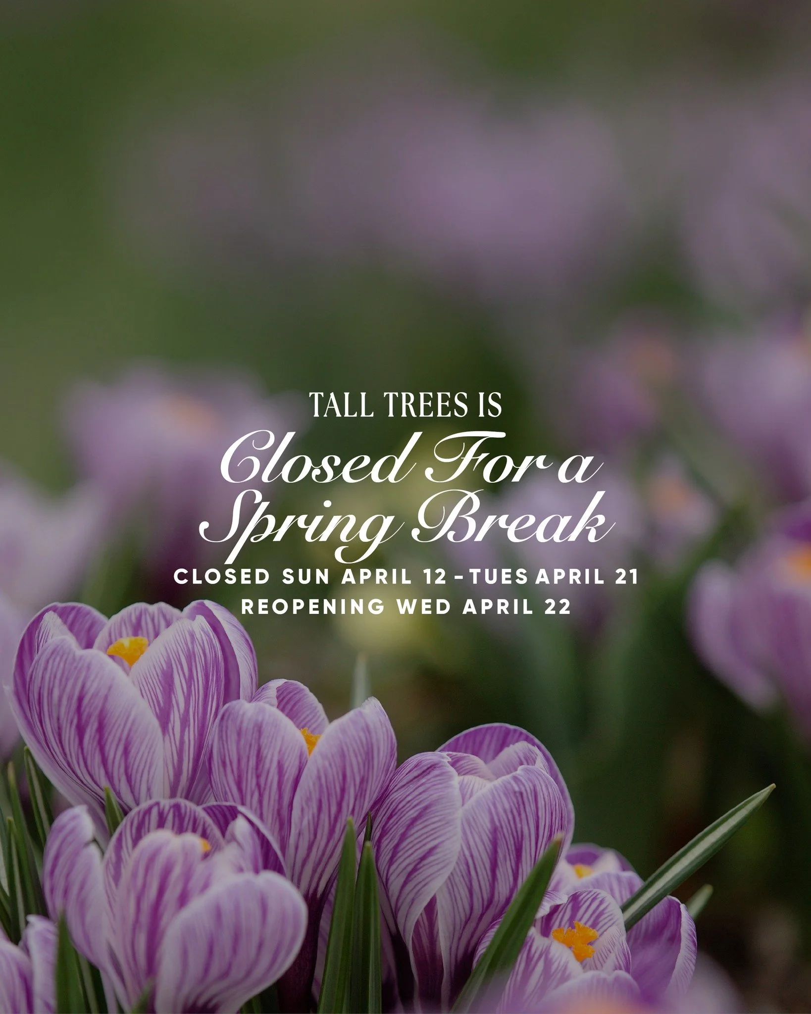 Our doors are CLOSED for the moment as we enjoy a short spring break! ✨🌱

 We will be back to serve you on Wednesday, April 22nd. 

See you soon! 👋