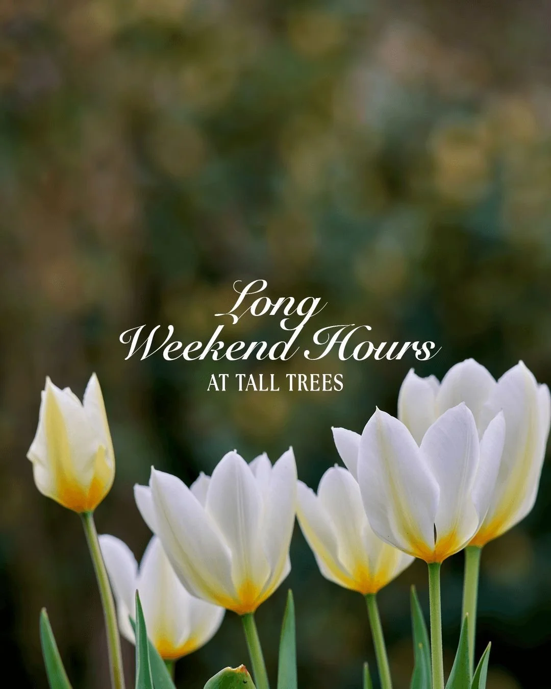 Celebrate the Victoria Day long weekend with good food and great friends! 🙌

LONG WEEKEND HOURS:
Friday: 11:30 AM &ndash; 9 PM
Saturday: 11:30 AM &ndash; 9 PM
Sunday: CLOSED
Holiday Monday: CLOSED

Reserve your table online: Link In Bio&uarr;

📍 Ta