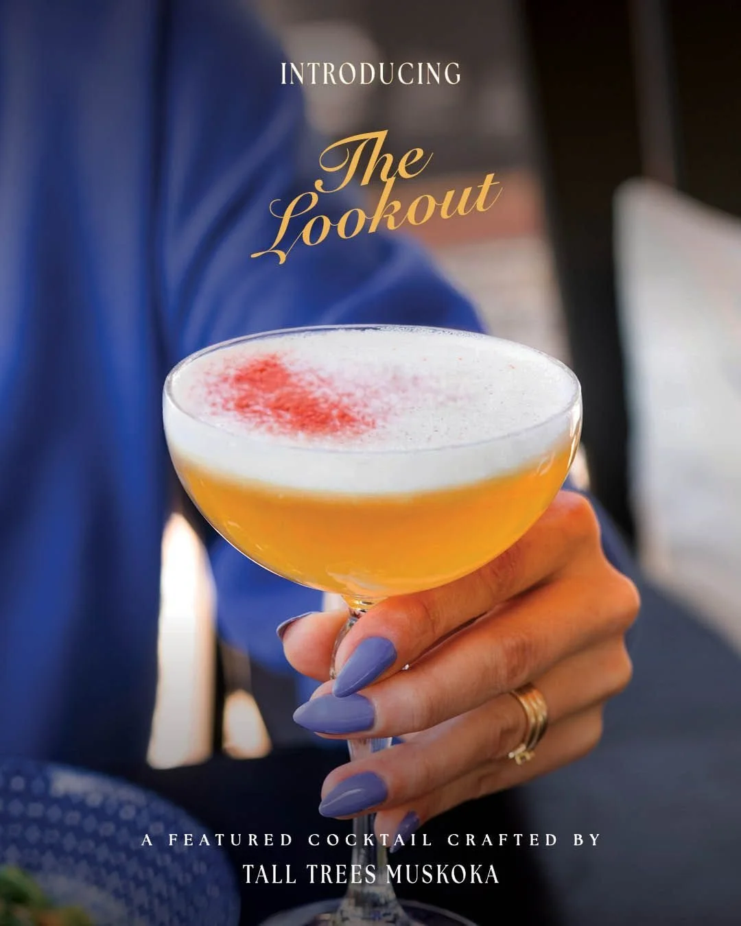 The Lookout is perfect for this time of year, with a tropical blend of passionfruit, white rum, triple sec, egg whites and orange bitters. 🍹🍊

This drink is inspired by what was formerly known as Cann&rsquo;s Mountain, now colloquially referred to 