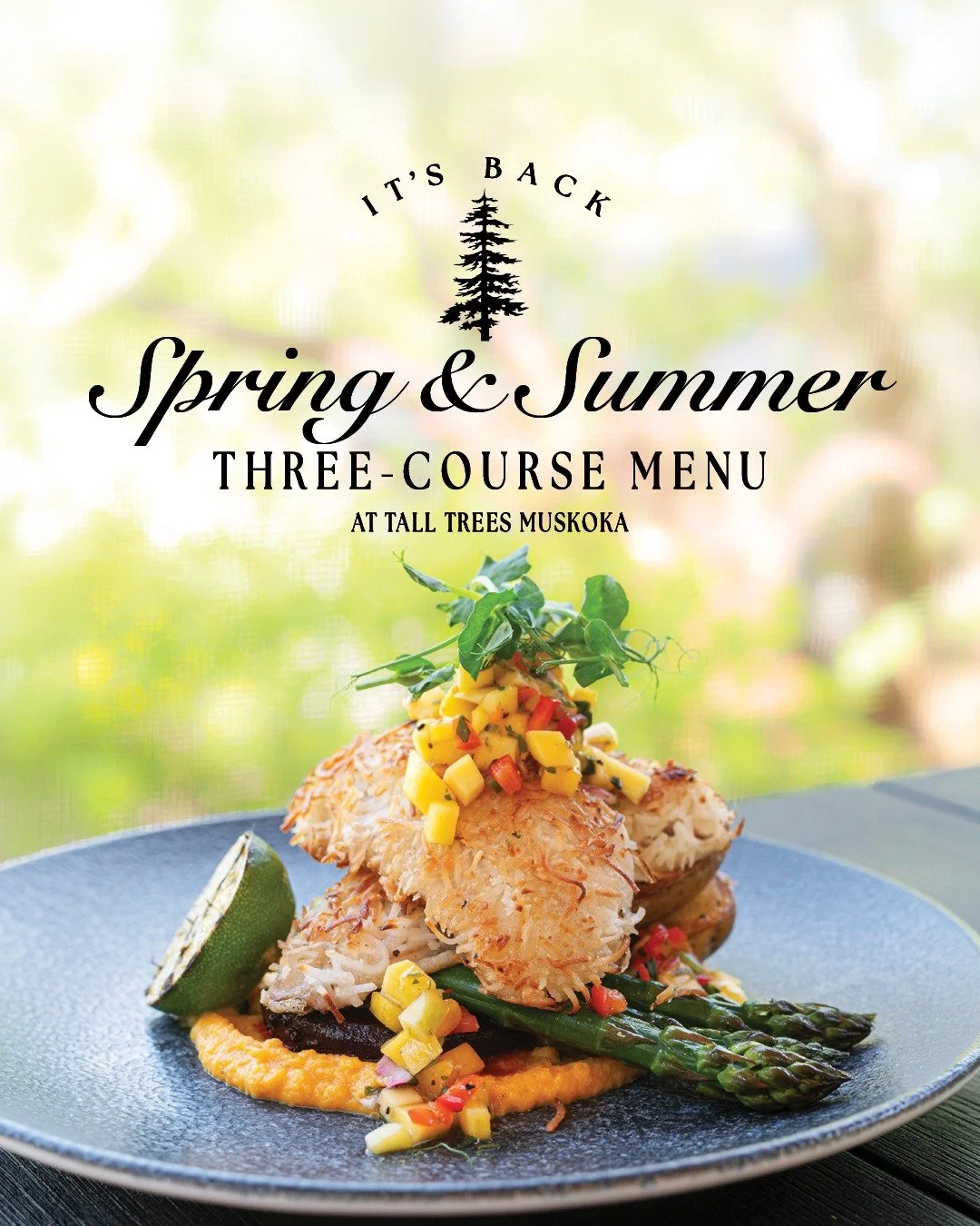 👉 SWIPE to discover all of the mouthwatering mains on this year&rsquo;s Spring &amp; Summer Three-Course Menu! 

When you dine from the Three-Course Menu, choose between our Pan-Seared Coconut-Crusted Ontario Pickerel, Artisanal Spanakopita Cavatell
