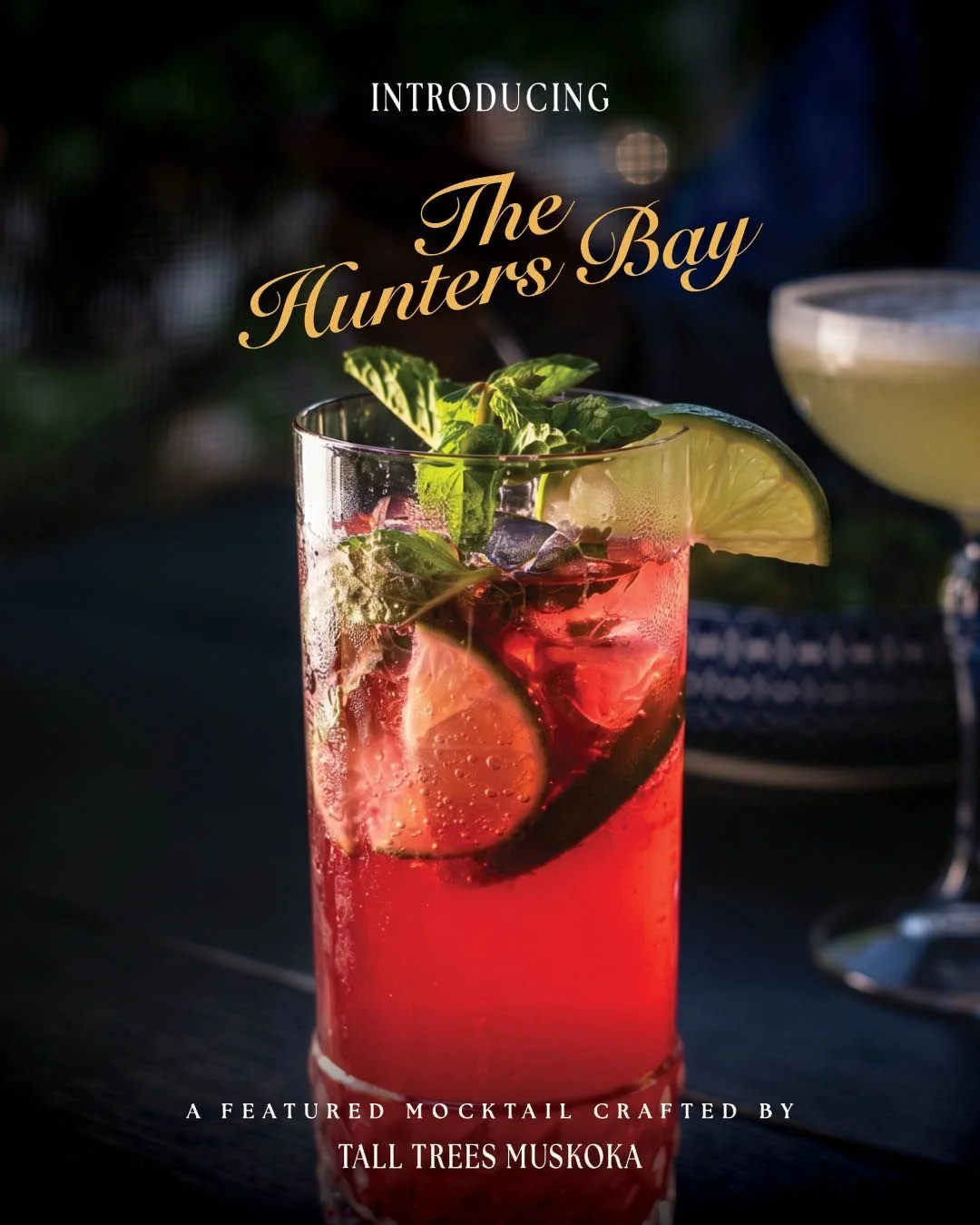 Everyone can have a ✨beveragino✨ at Tall Trees!

Not only do we offer an extensive cocktail list, but we also serve delicious mocktails&mdash;like this one, inspired by the origins of the Hunters Bay Trail: a black currant "fauxjito" called