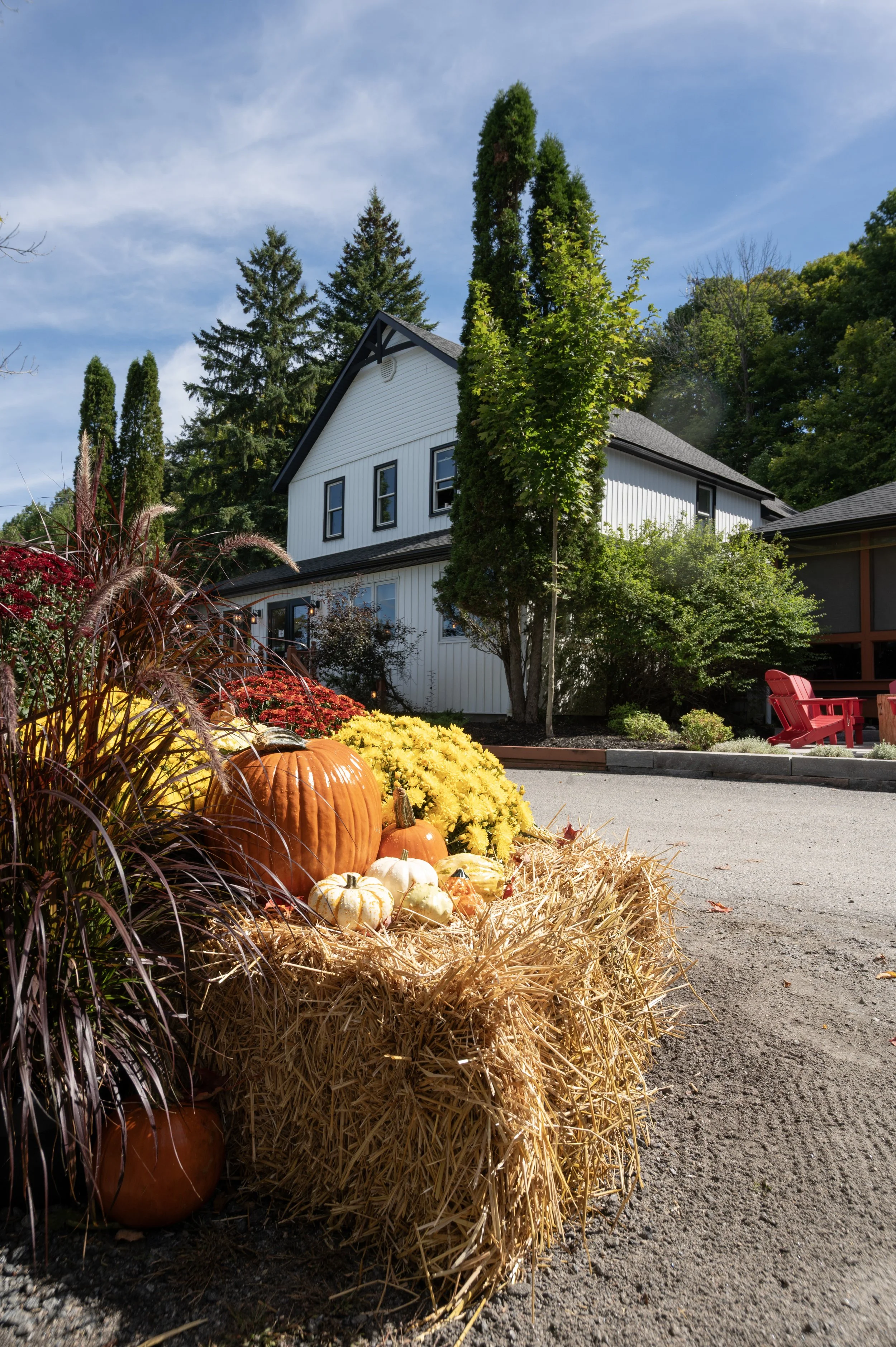 Thanksgiving at Tall Trees