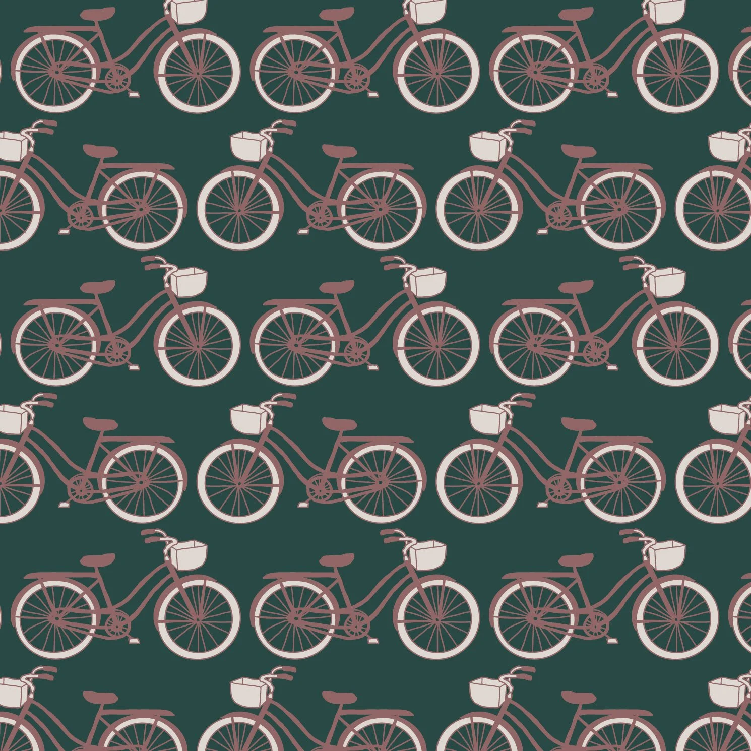 Bicycle-Tour-Night.jpg