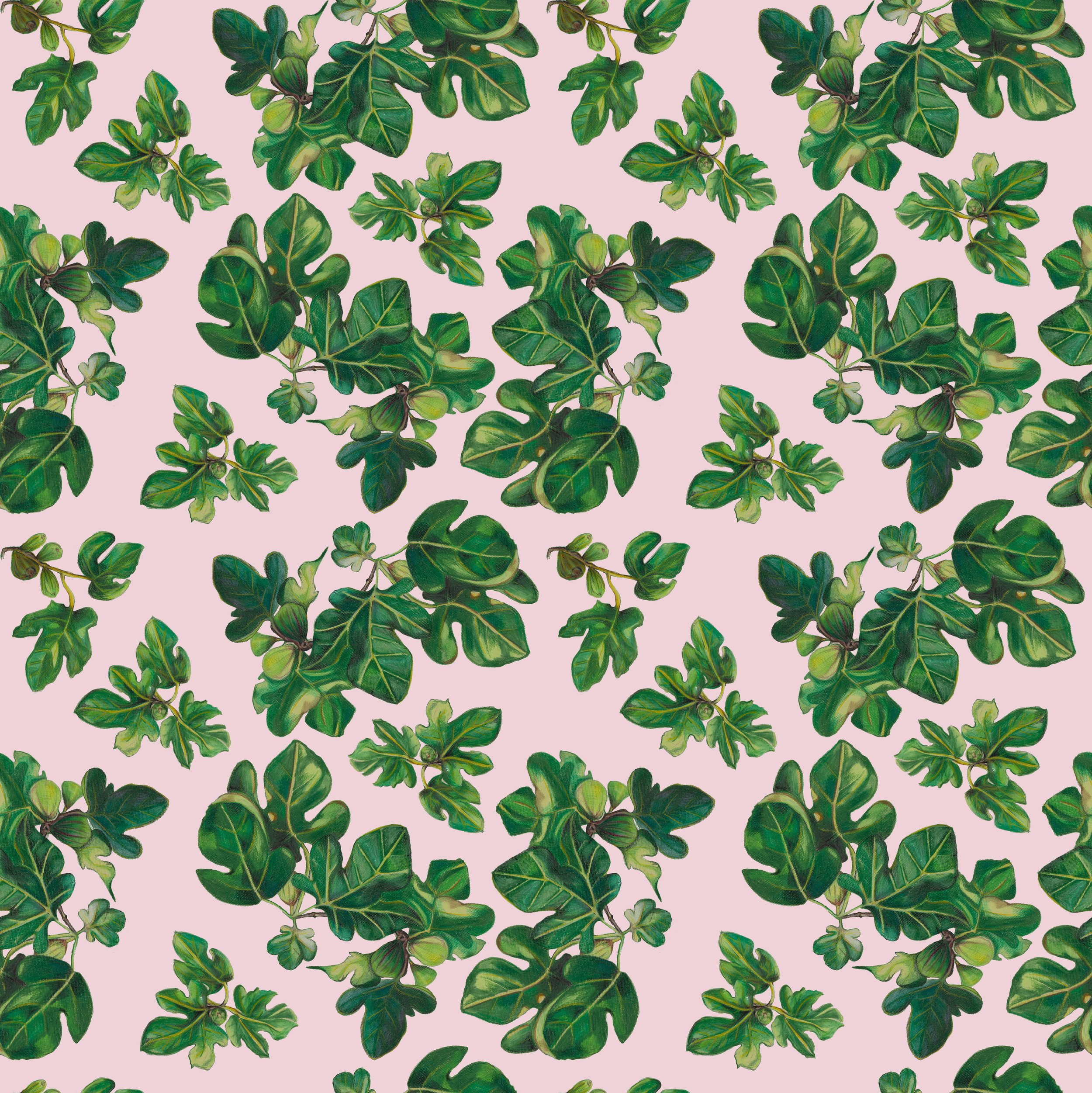SMALLERSCALE-Fig-PalePink copy.jpg