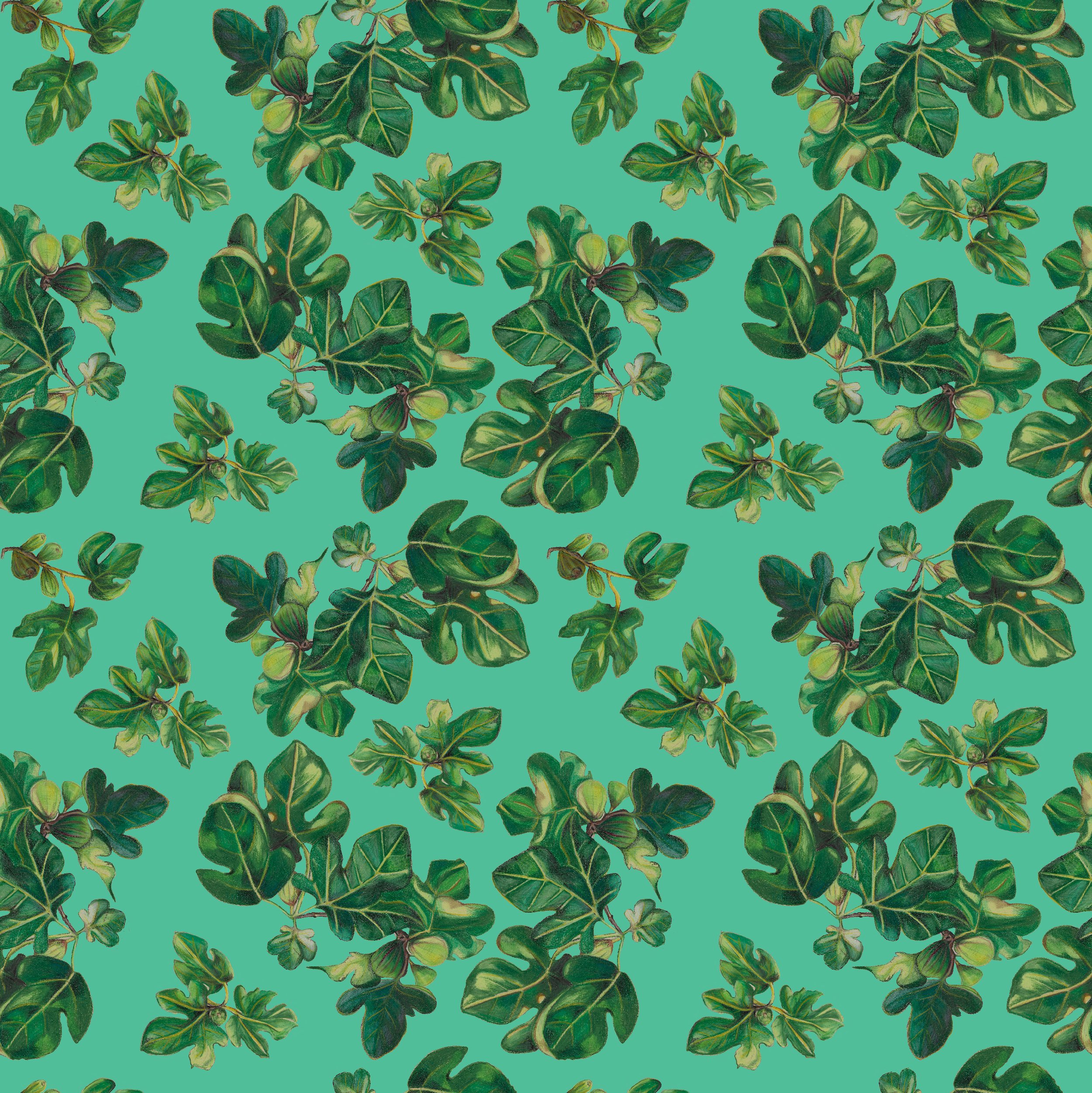 small green fig.jpg