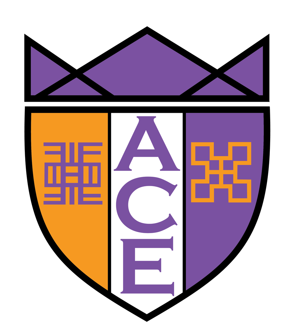 Our Team — ACE Academy